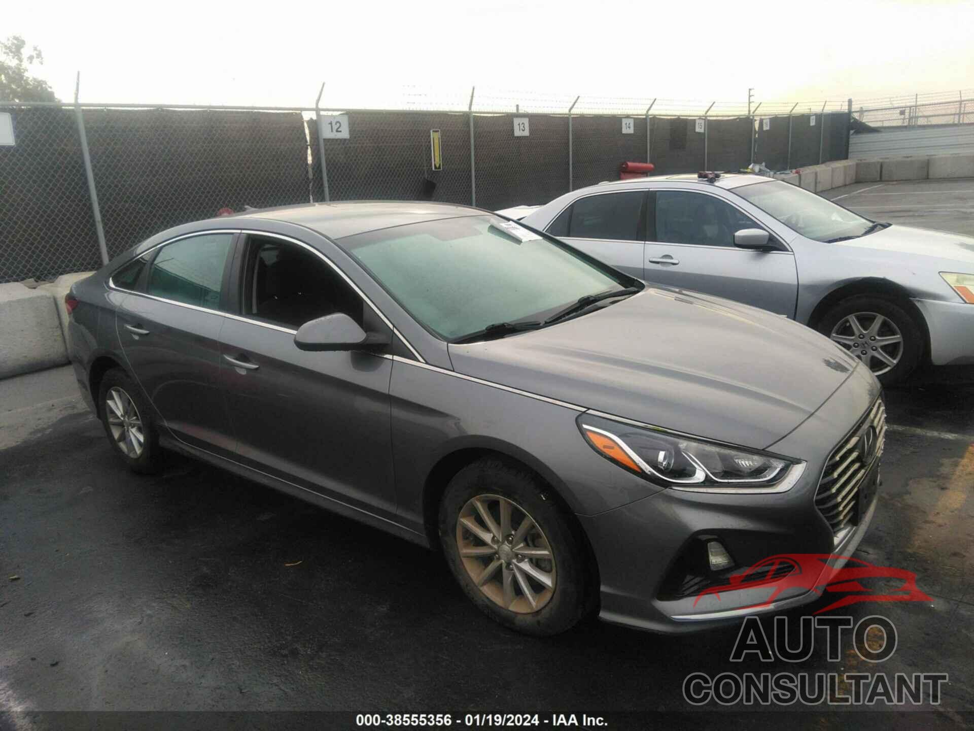 HYUNDAI SONATA 2019 - 5NPE24AF6KH755833
