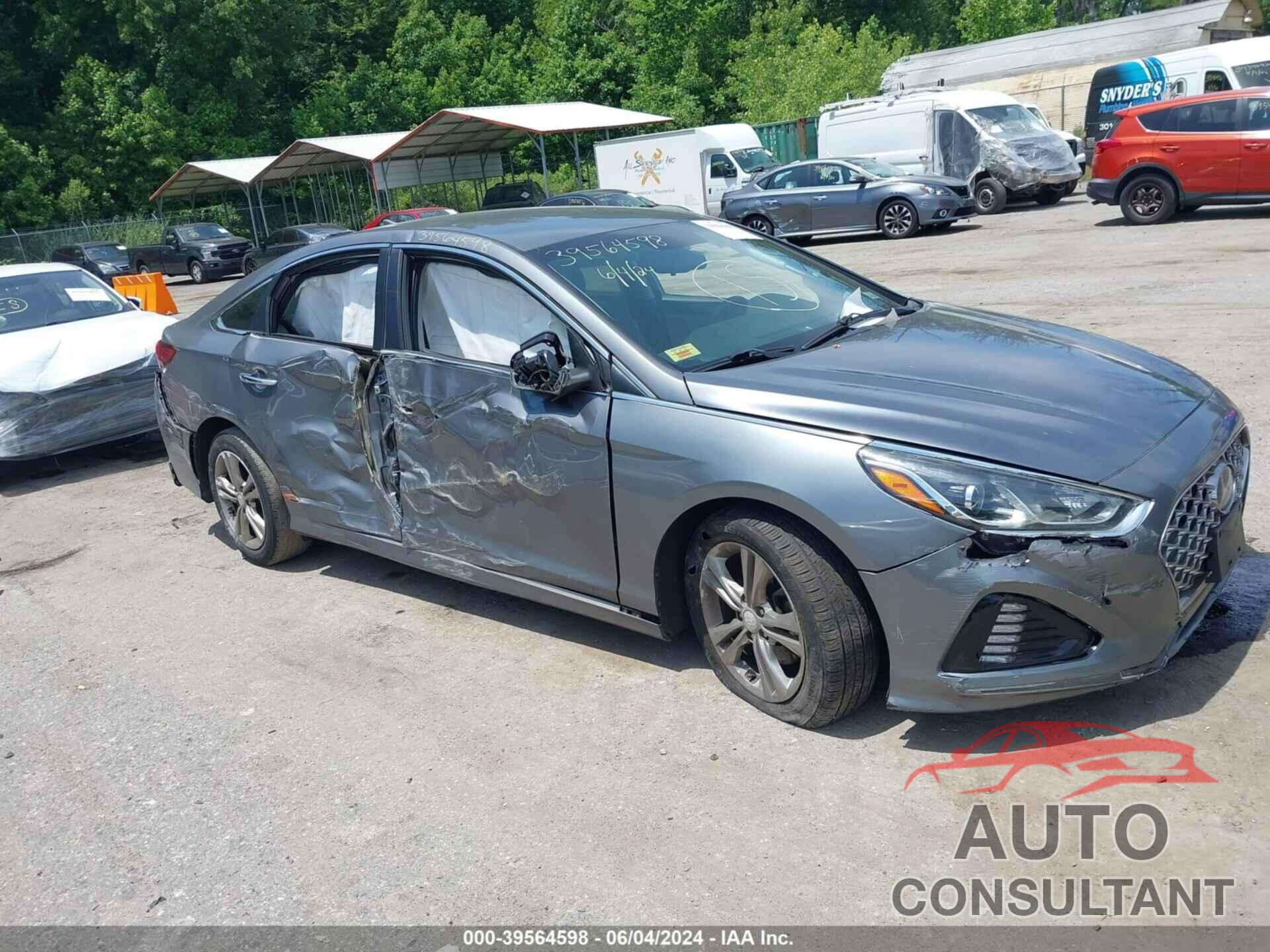 HYUNDAI SONATA 2019 - 5NPE34AFXKH784538