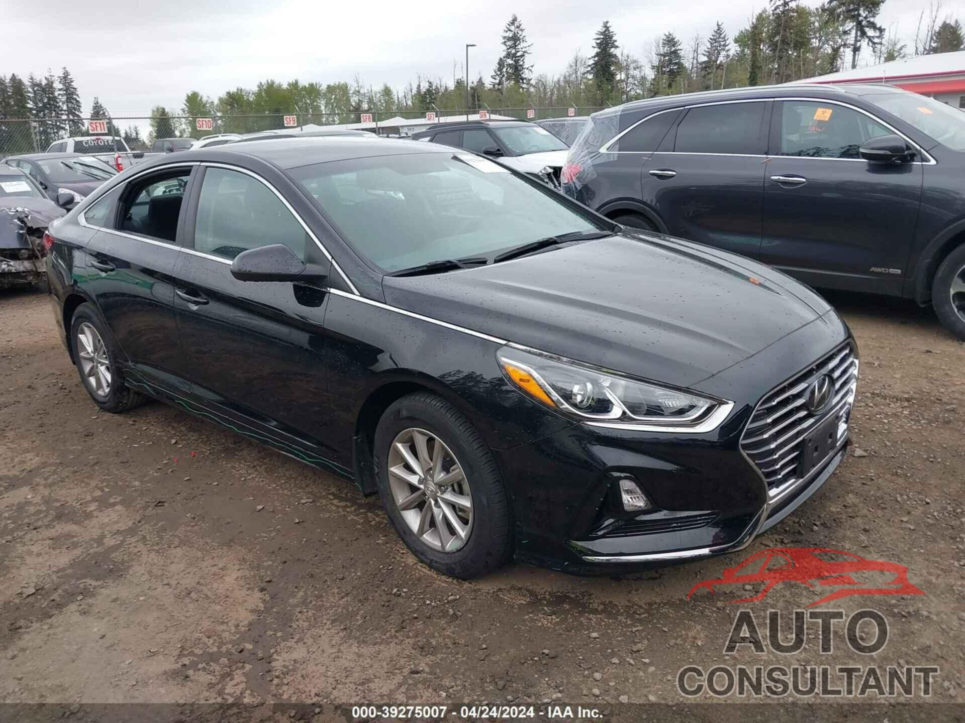 HYUNDAI SONATA 2019 - 5NPE24AF3KH807256
