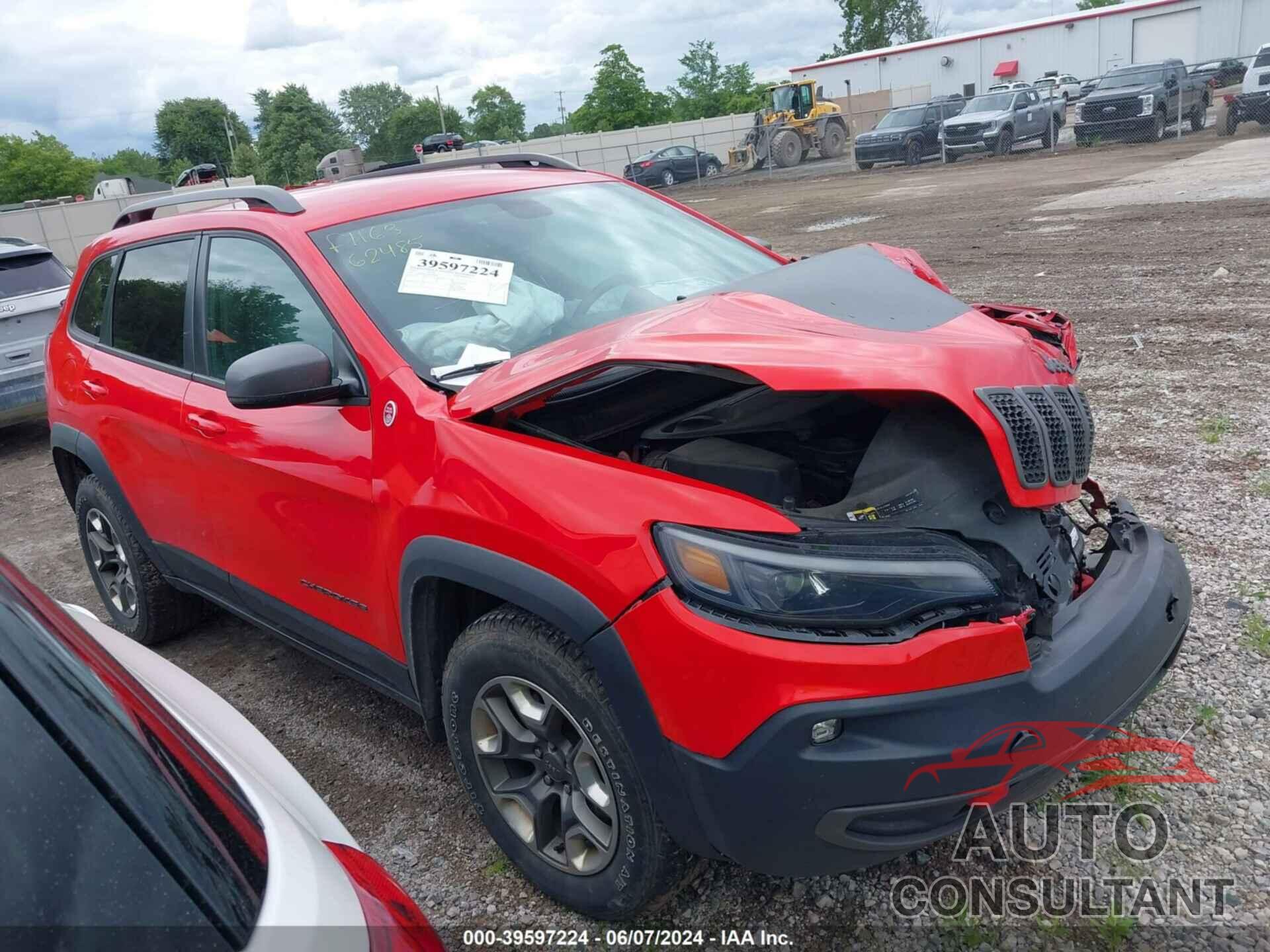 JEEP CHEROKEE 2019 - 1C4PJMBX3KD350439