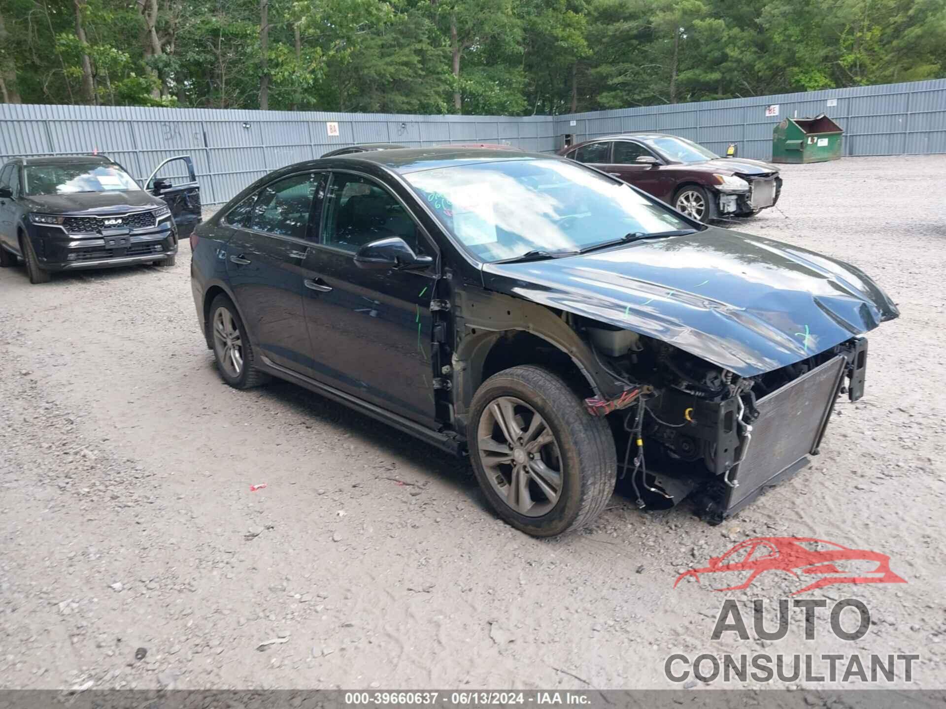 HYUNDAI SONATA 2019 - 5NPE34AF3KH757455