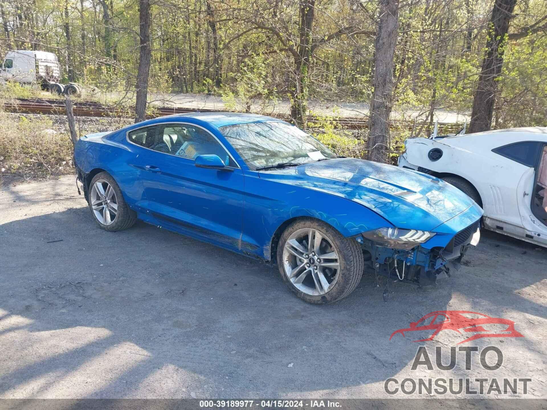 FORD MUSTANG 2019 - 1FA6P8TH1K5102005