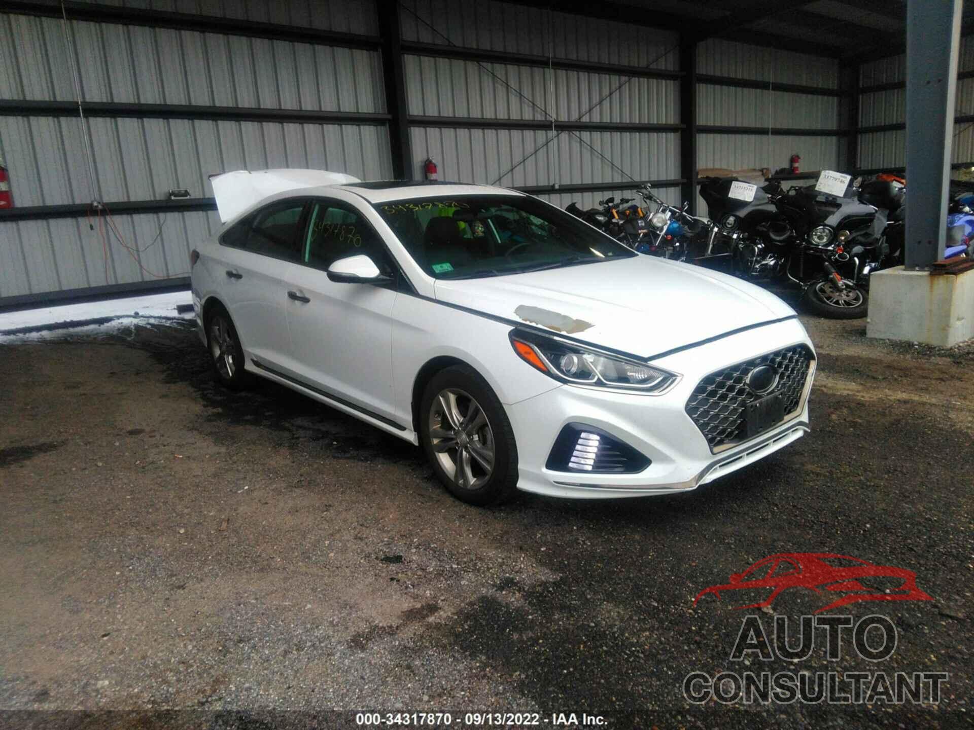 HYUNDAI SONATA 2018 - 5NPE34AFXJH655486
