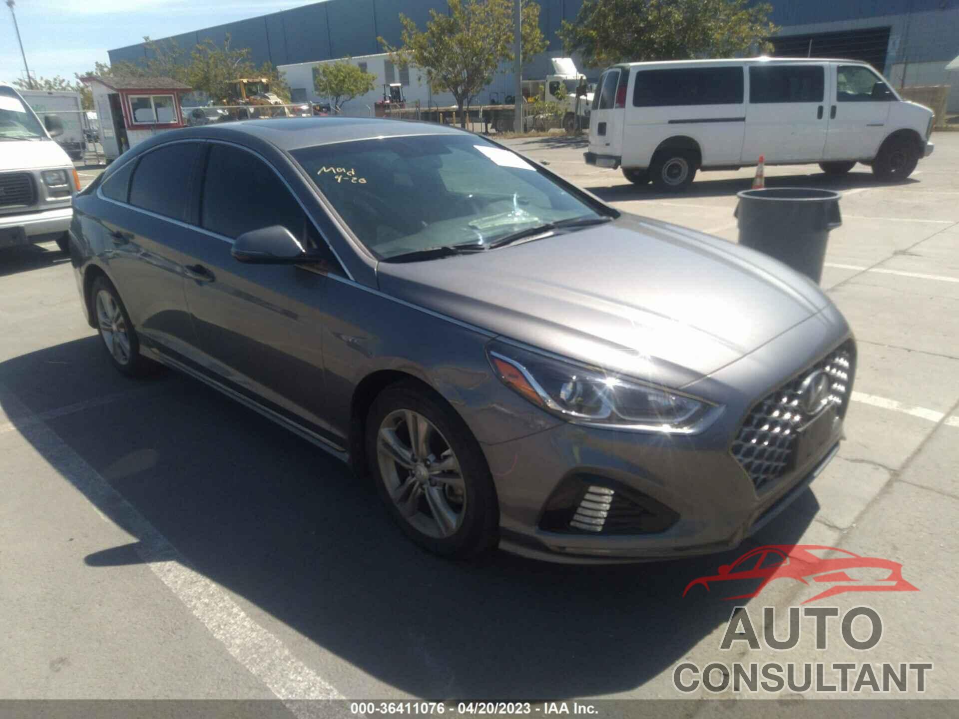 HYUNDAI SONATA 2019 - 5NPE34AF1KH813859