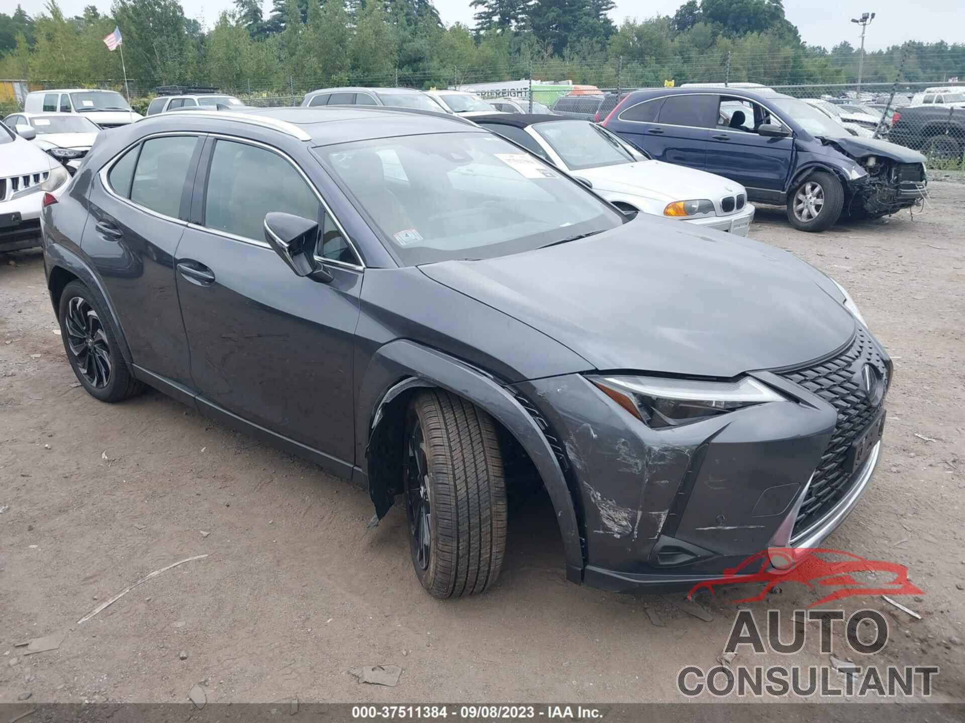 LEXUS UX 250H 2023 - JTHP9JBH2P2068553