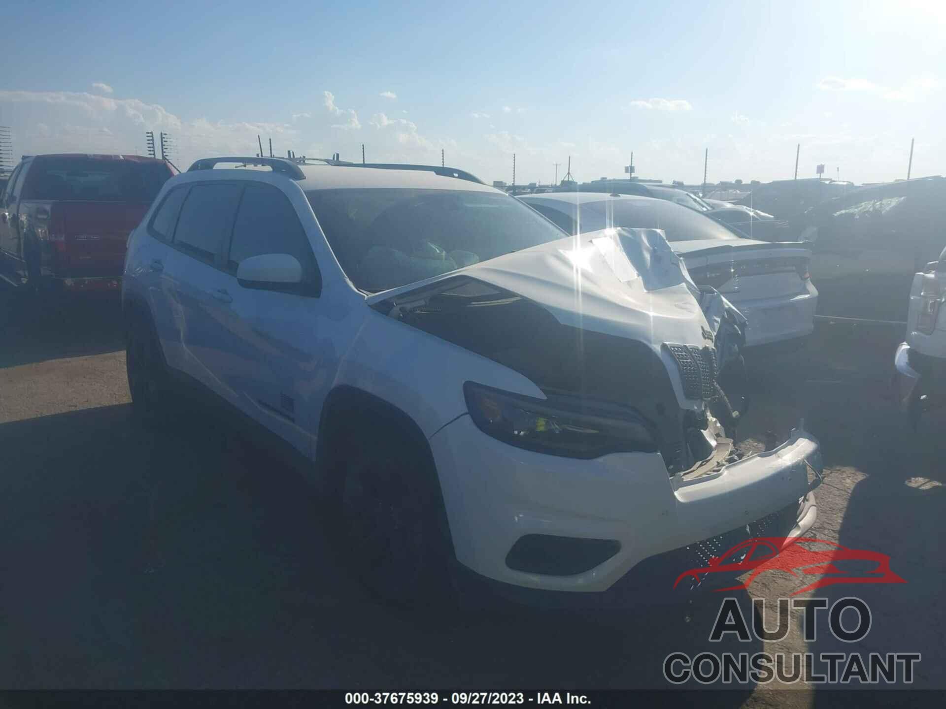 JEEP CHEROKEE 2021 - 1C4PJLCB1MD204220