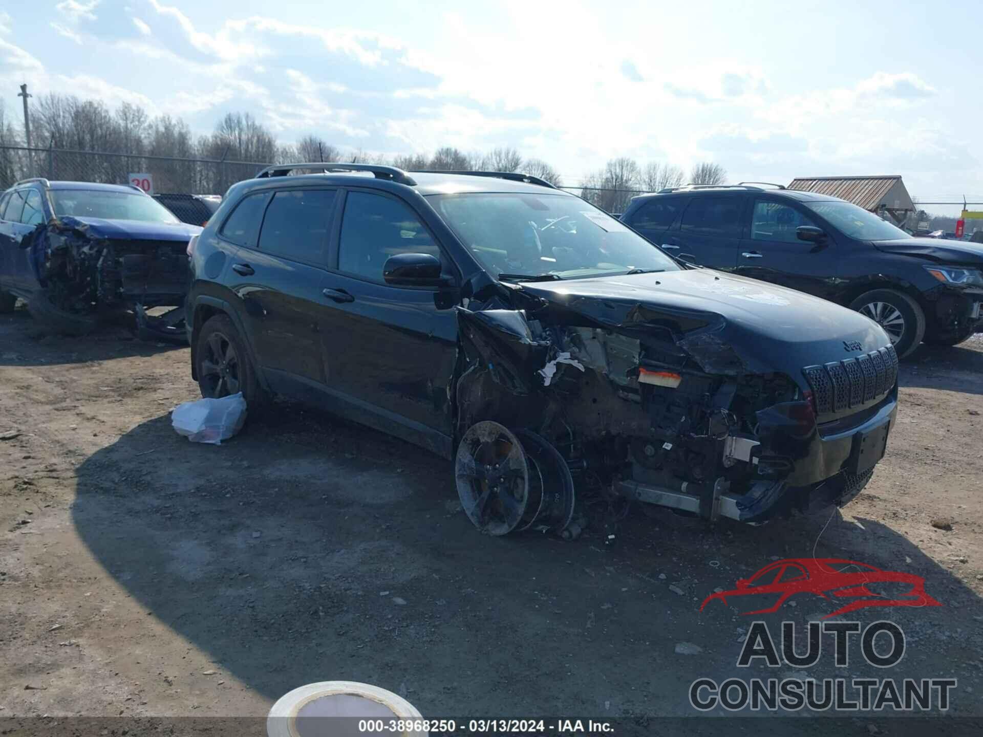 JEEP CHEROKEE 2019 - 1C4PJMLX3KD477402