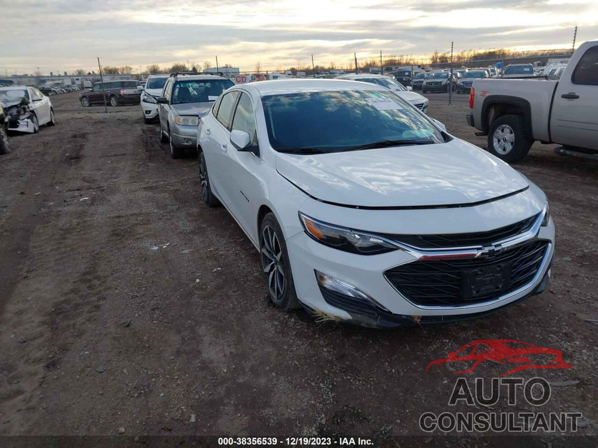 CHEVROLET MALIBU 2020 - 1G1ZG5ST4LF144250