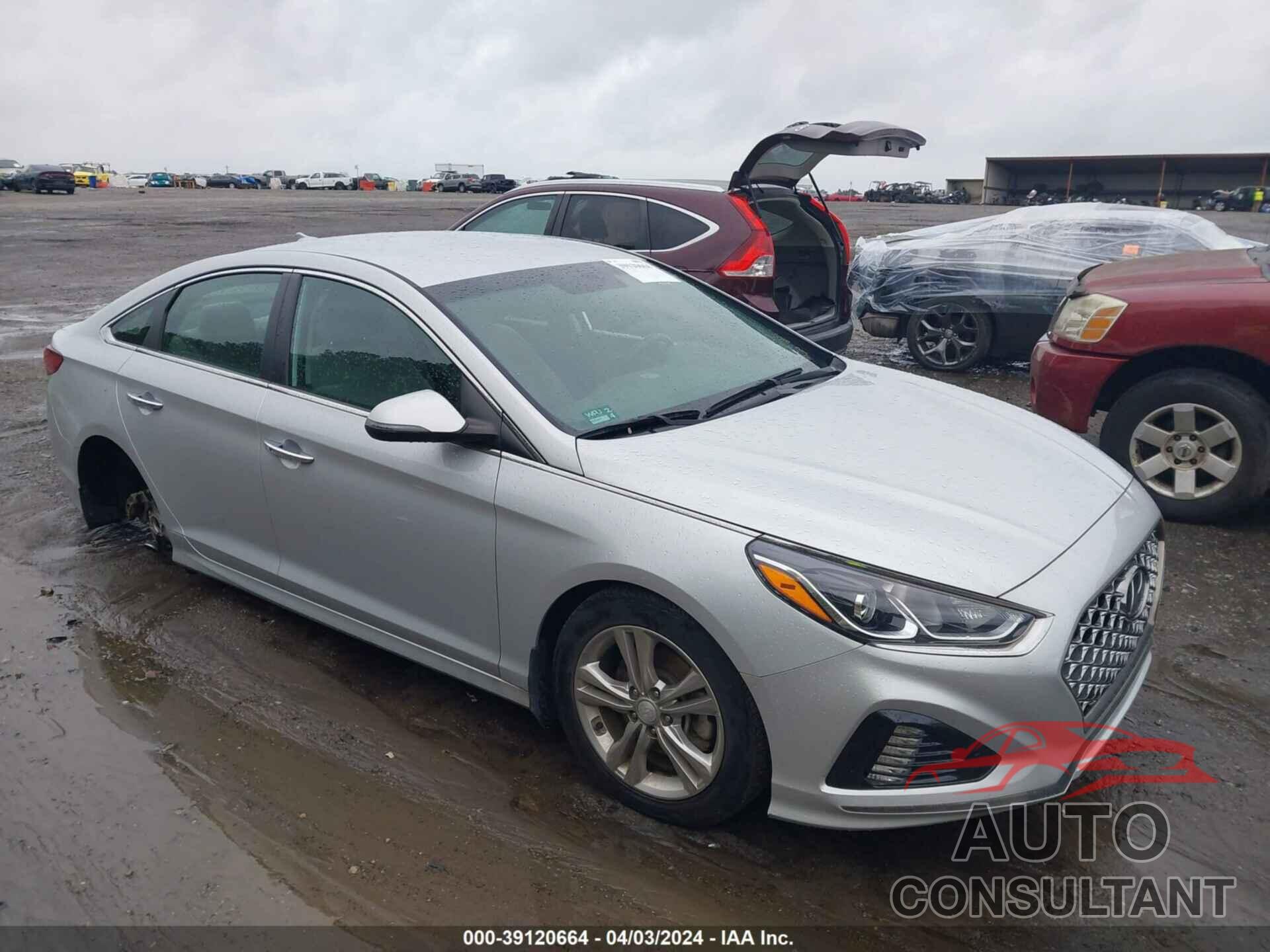 HYUNDAI SONATA 2019 - 5NPE34AF3KH805407
