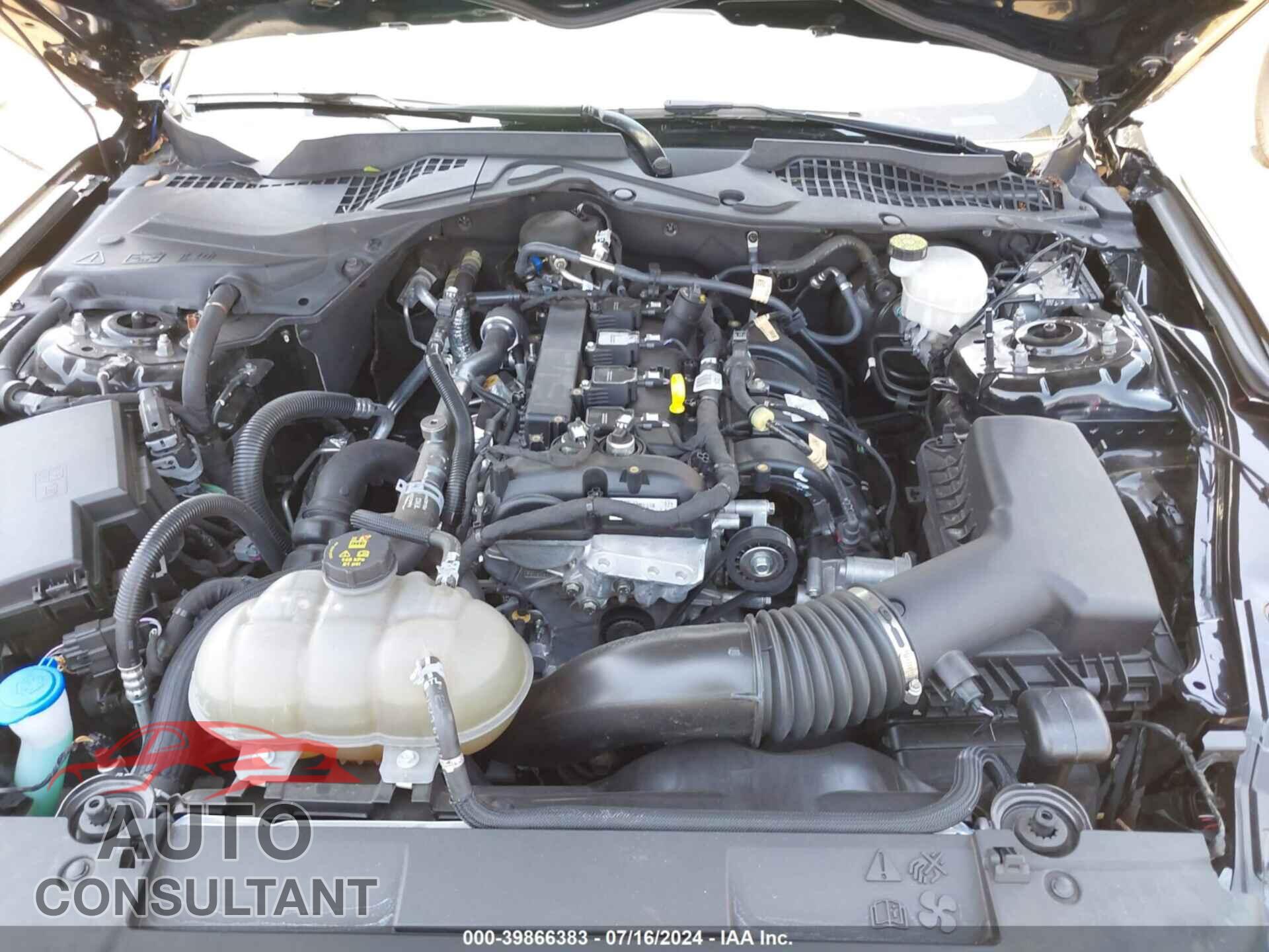 FORD MUSTANG 2022 - 1FA6P8TH3N5146155