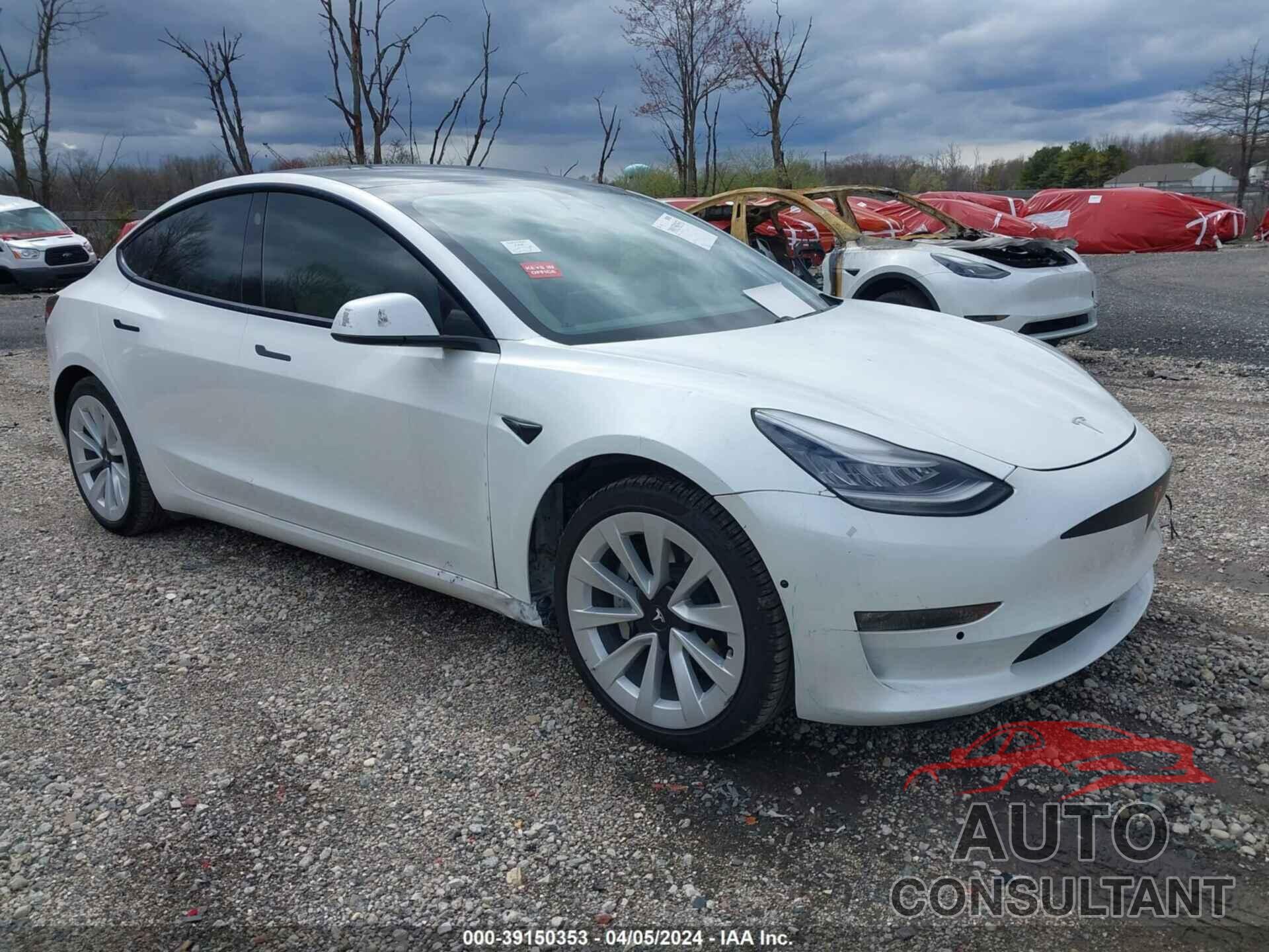 TESLA MODEL 3 2021 - 5YJ3E1EAXMF020866