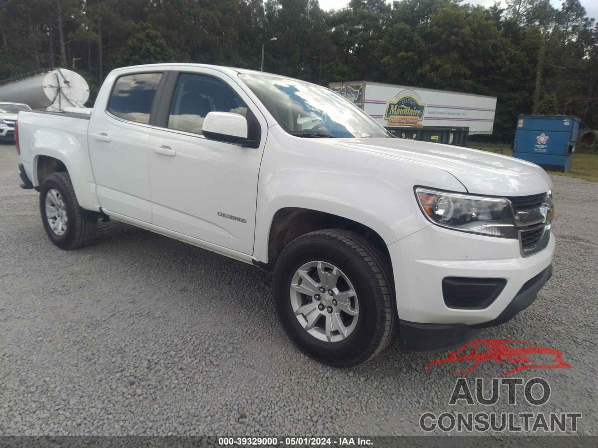 CHEVROLET COLORADO 2019 - 1GCGSCEN6K1103743