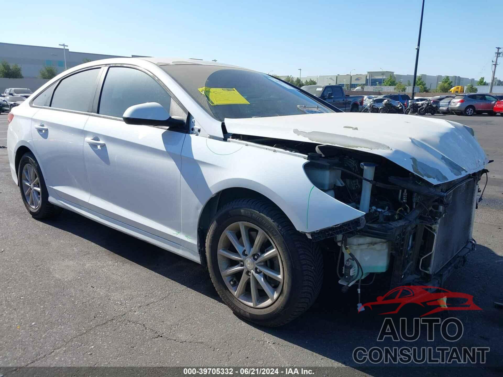 HYUNDAI SONATA 2019 - 5NPE24AF1KH769557