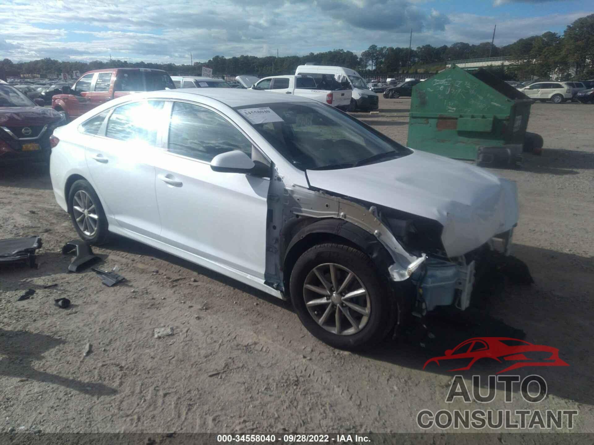 HYUNDAI SONATA 2019 - 5NPE24AF1KH747090