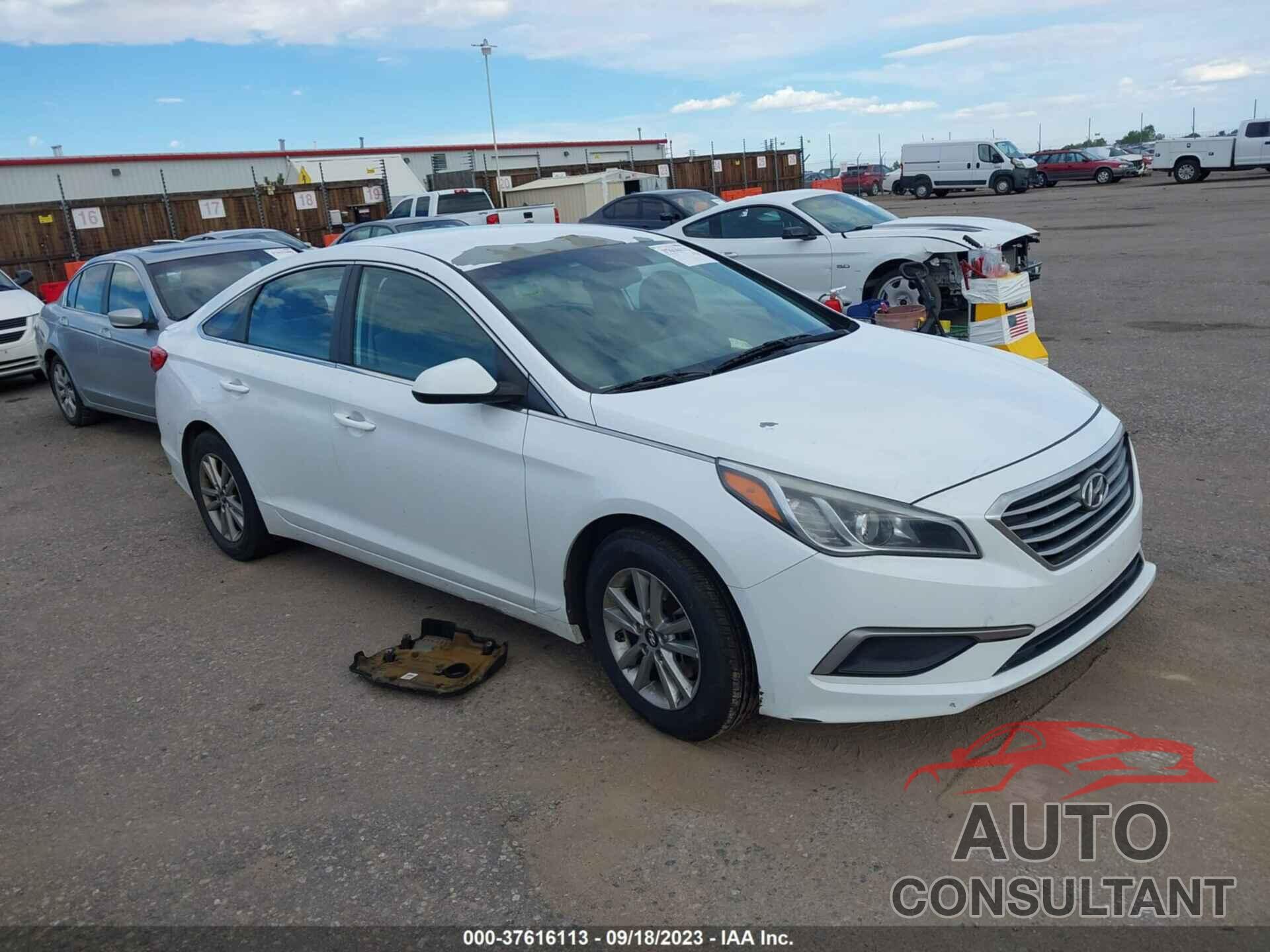 HYUNDAI SONATA 2016 - 5NPE24AF7GH355691