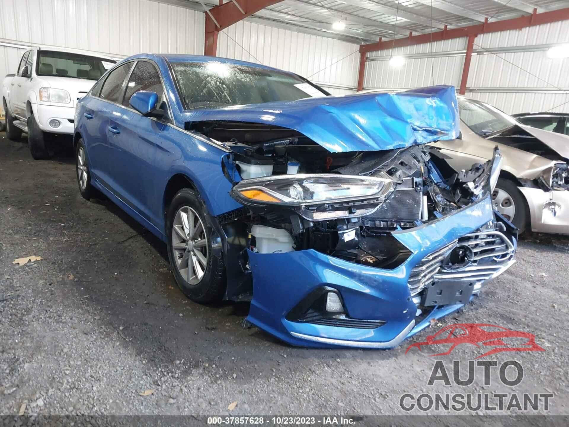 HYUNDAI SONATA 2019 - 5NPE24AF3KH765140