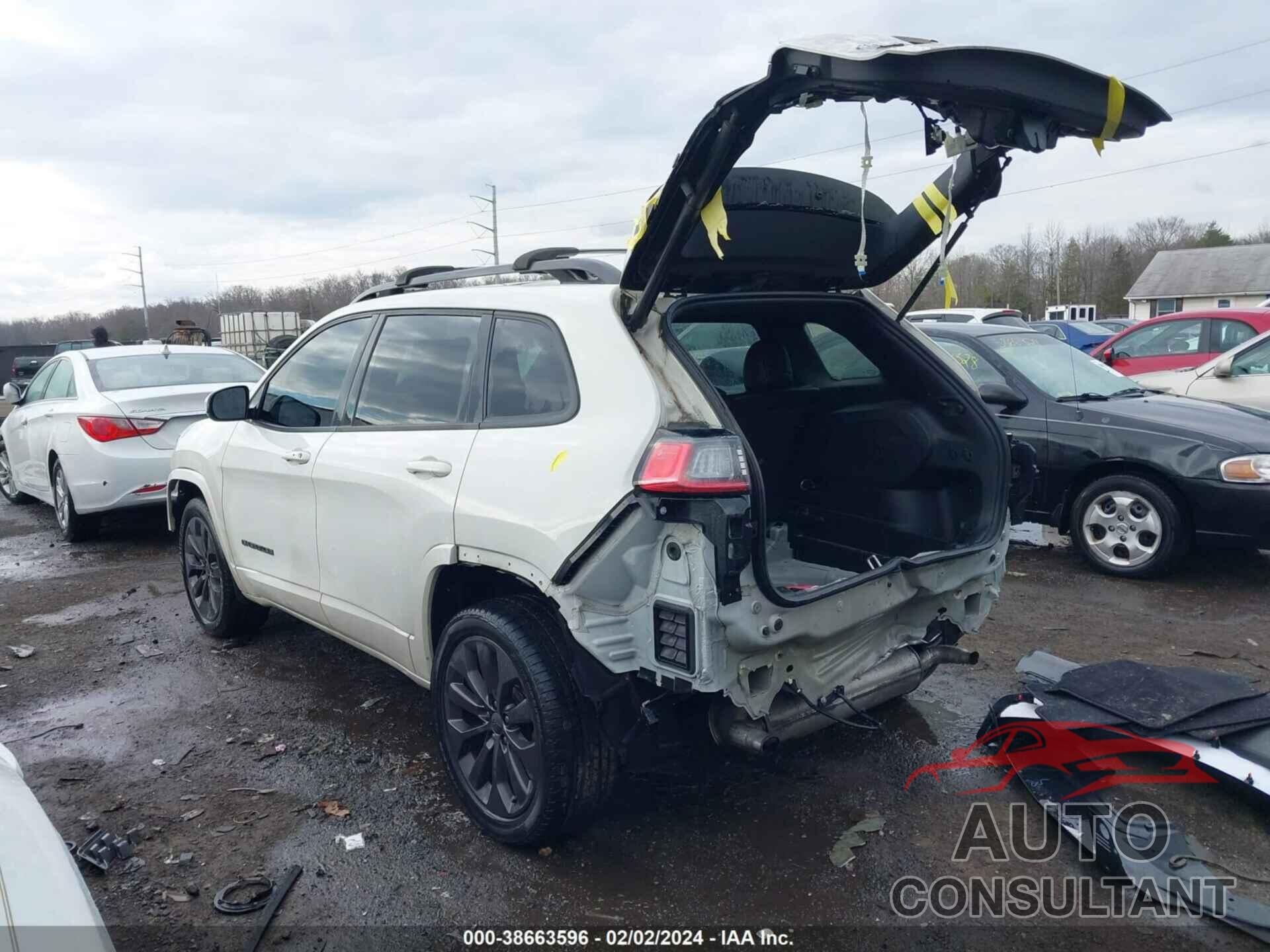 JEEP CHEROKEE 2019 - 1C4PJMDX0KD335202