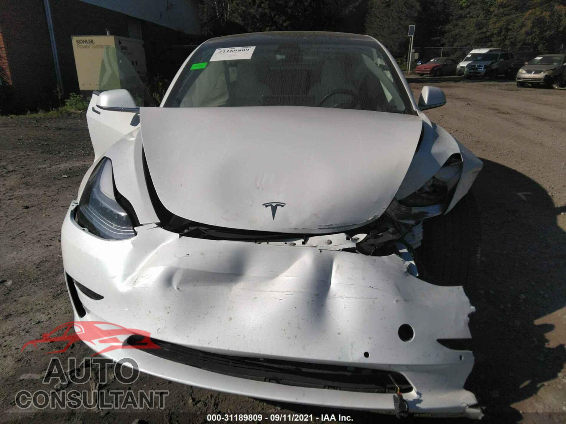 TESLA MODEL 3 2019 - 5YJ3E1EB2KF407045