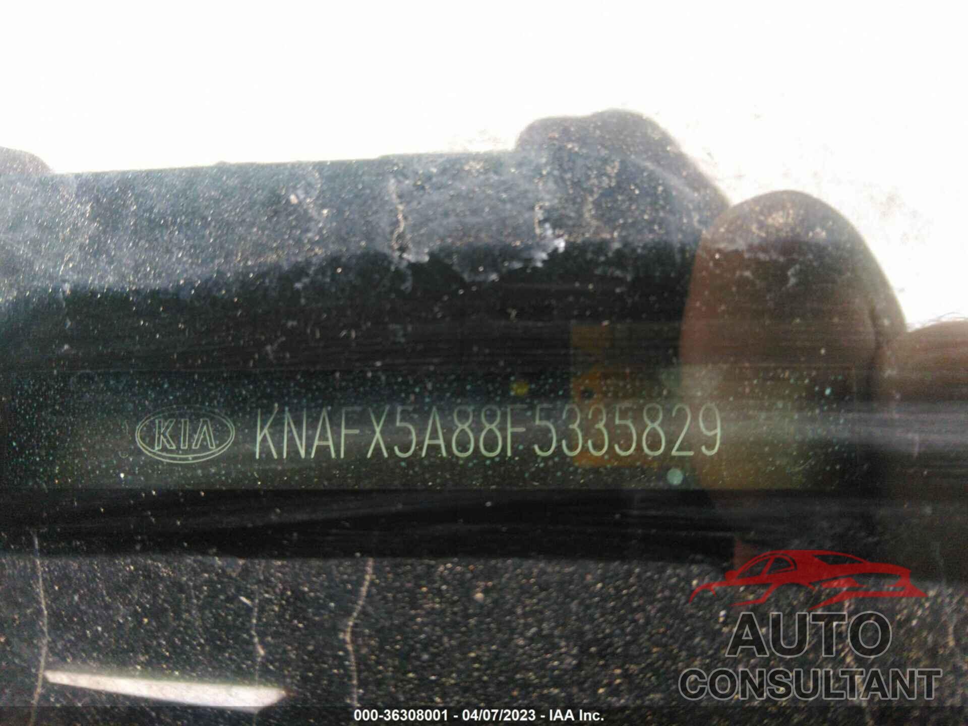 KIA FORTE 5-DOOR 2015 - KNAFX5A88F5335829