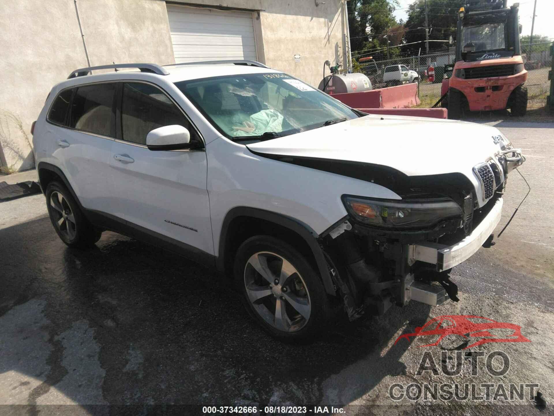 JEEP CHEROKEE 2019 - 1C4PJMDN7KD131866