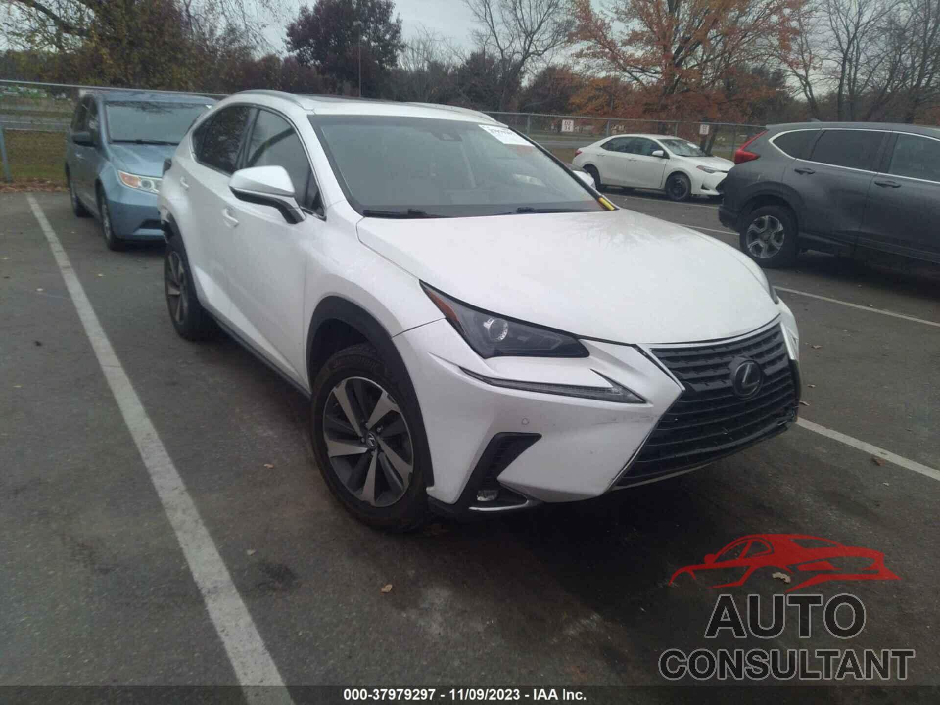 LEXUS NX 300 2019 - JTJYARBZ2K2120757