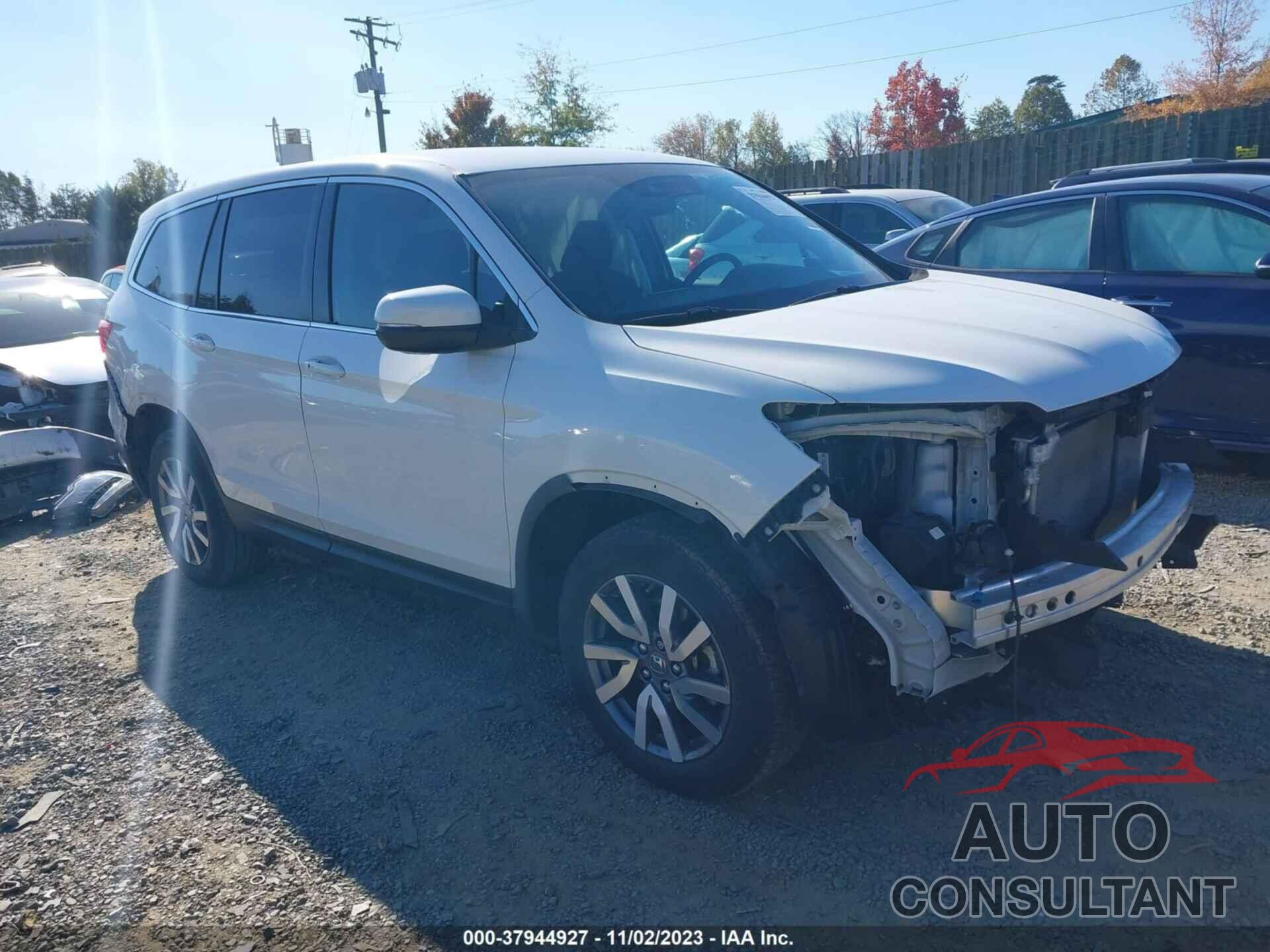 HONDA PILOT 2019 - 5FNYF6H38KB027860