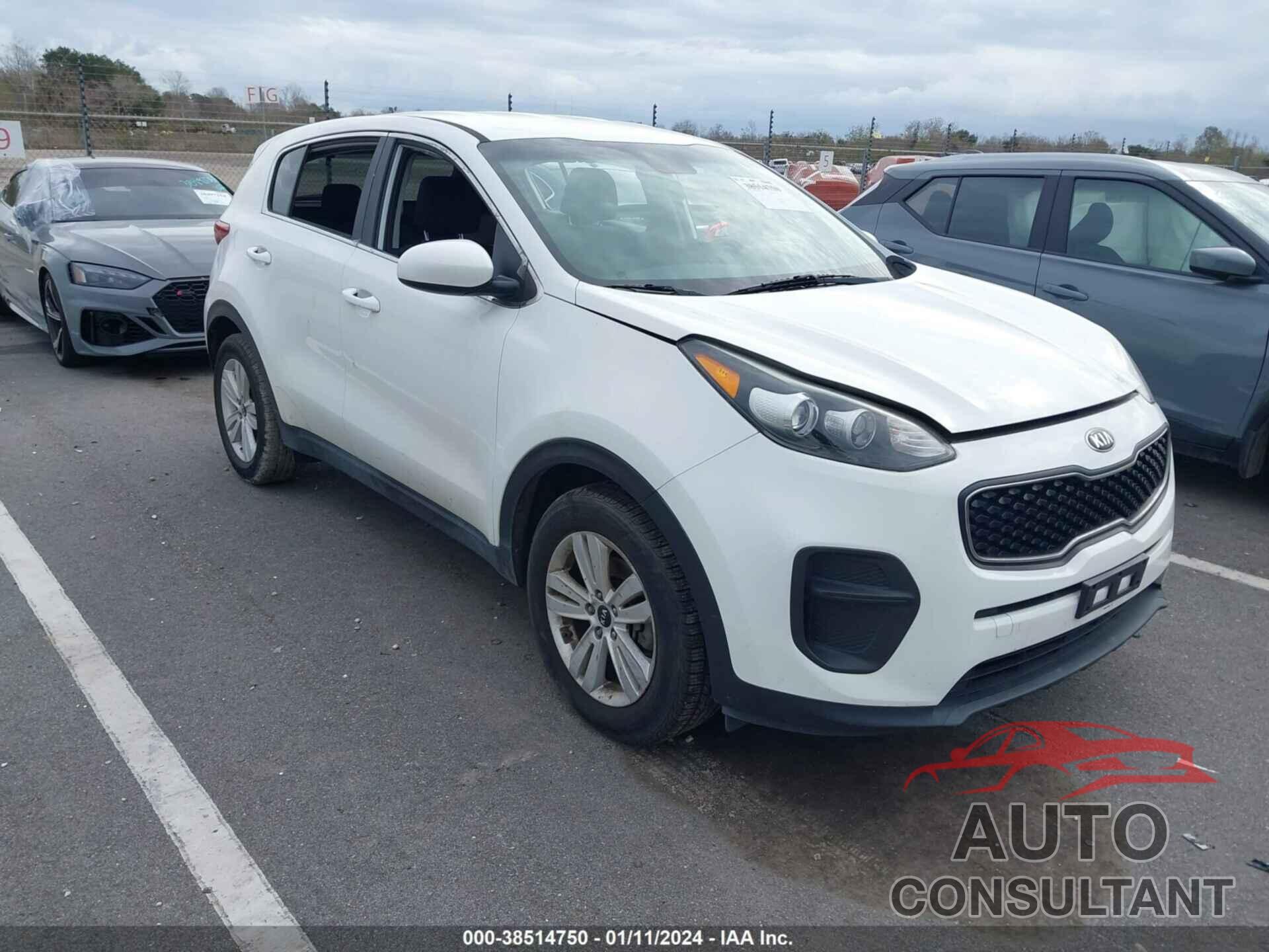 KIA SPORTAGE 2019 - KNDPM3ACXK7563757