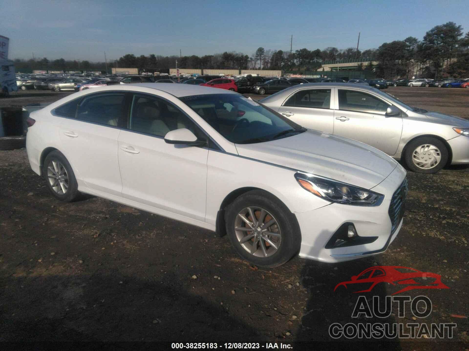 HYUNDAI SONATA 2019 - 5NPE24AF1KH806607