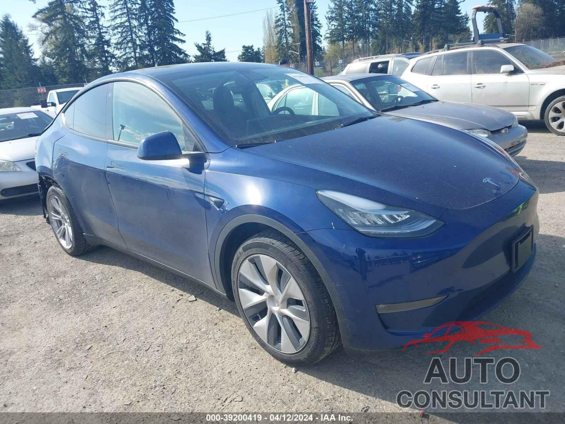 TESLA MODEL Y 2022 - 7SAYGDEEXNF388523