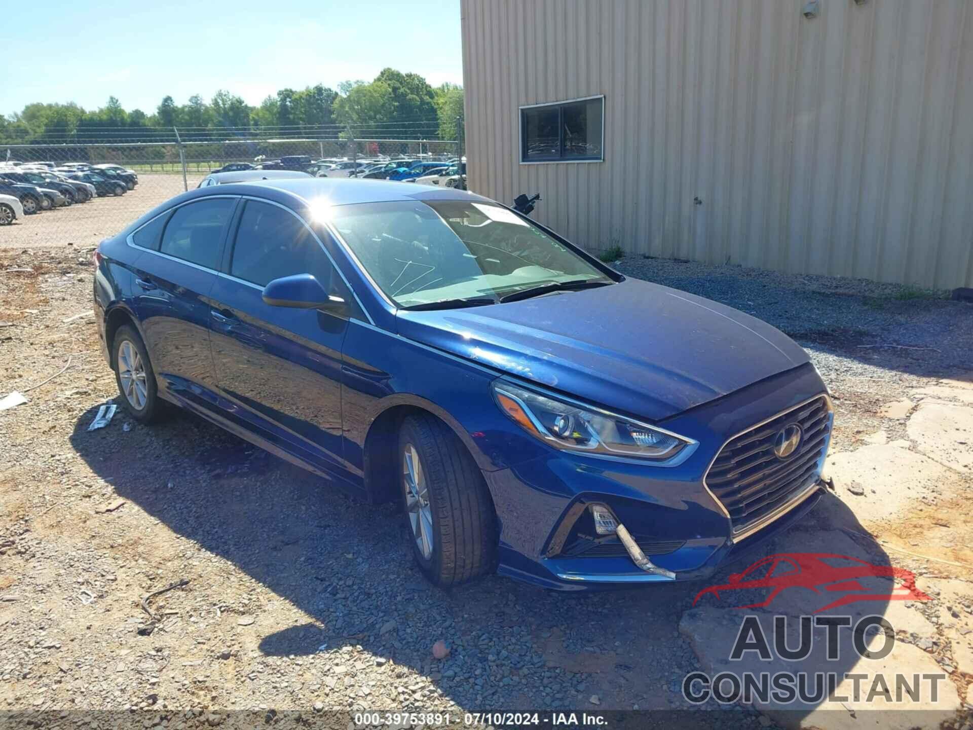 HYUNDAI SONATA 2019 - 5NPE24AF5KH795479