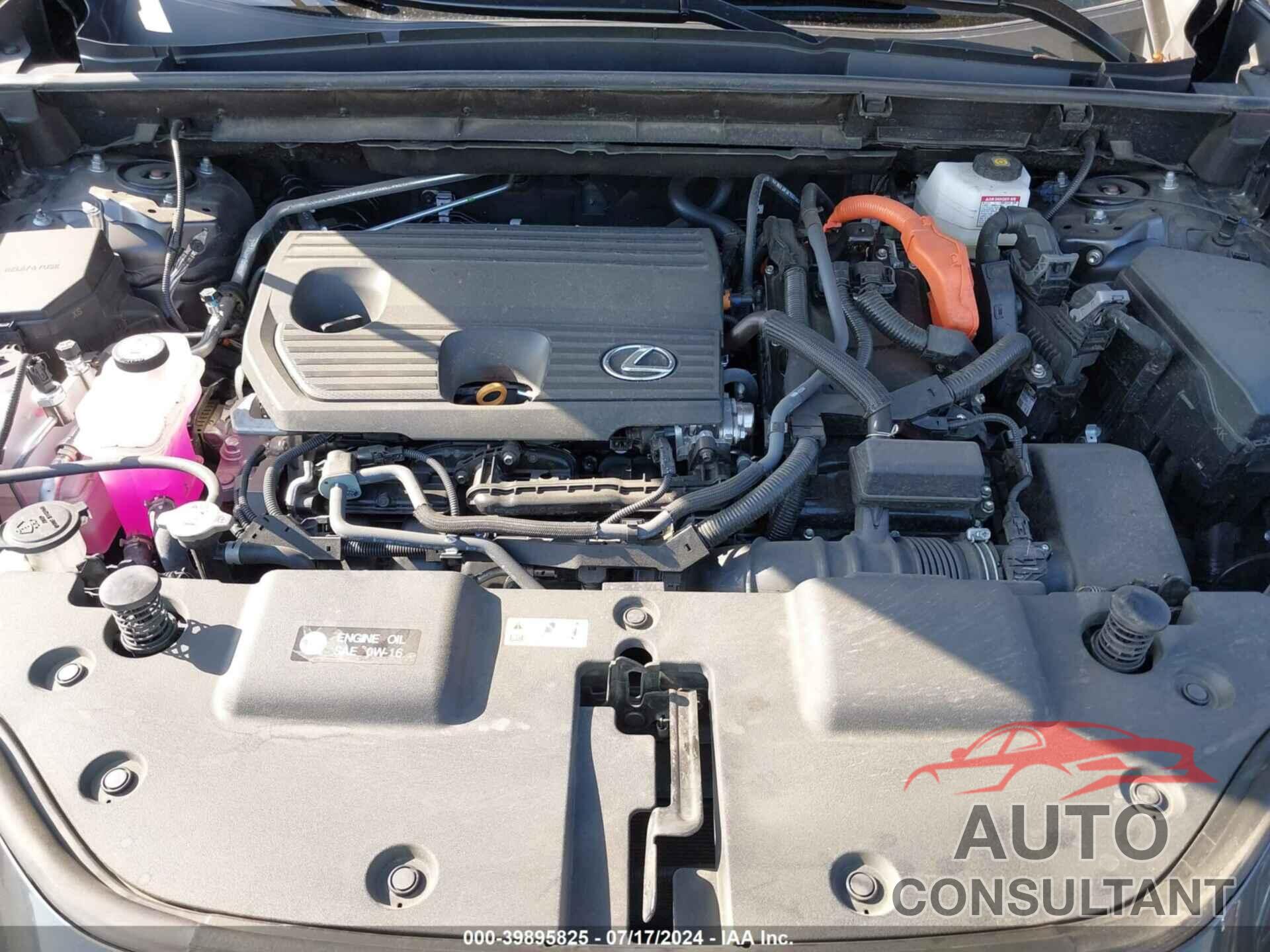 LEXUS NX 350H 2024 - 2T2GKCEZXRC016383
