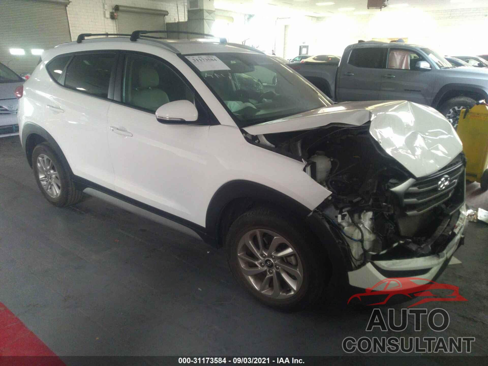 HYUNDAI TUCSON 2017 - KM8J33A42HU508730