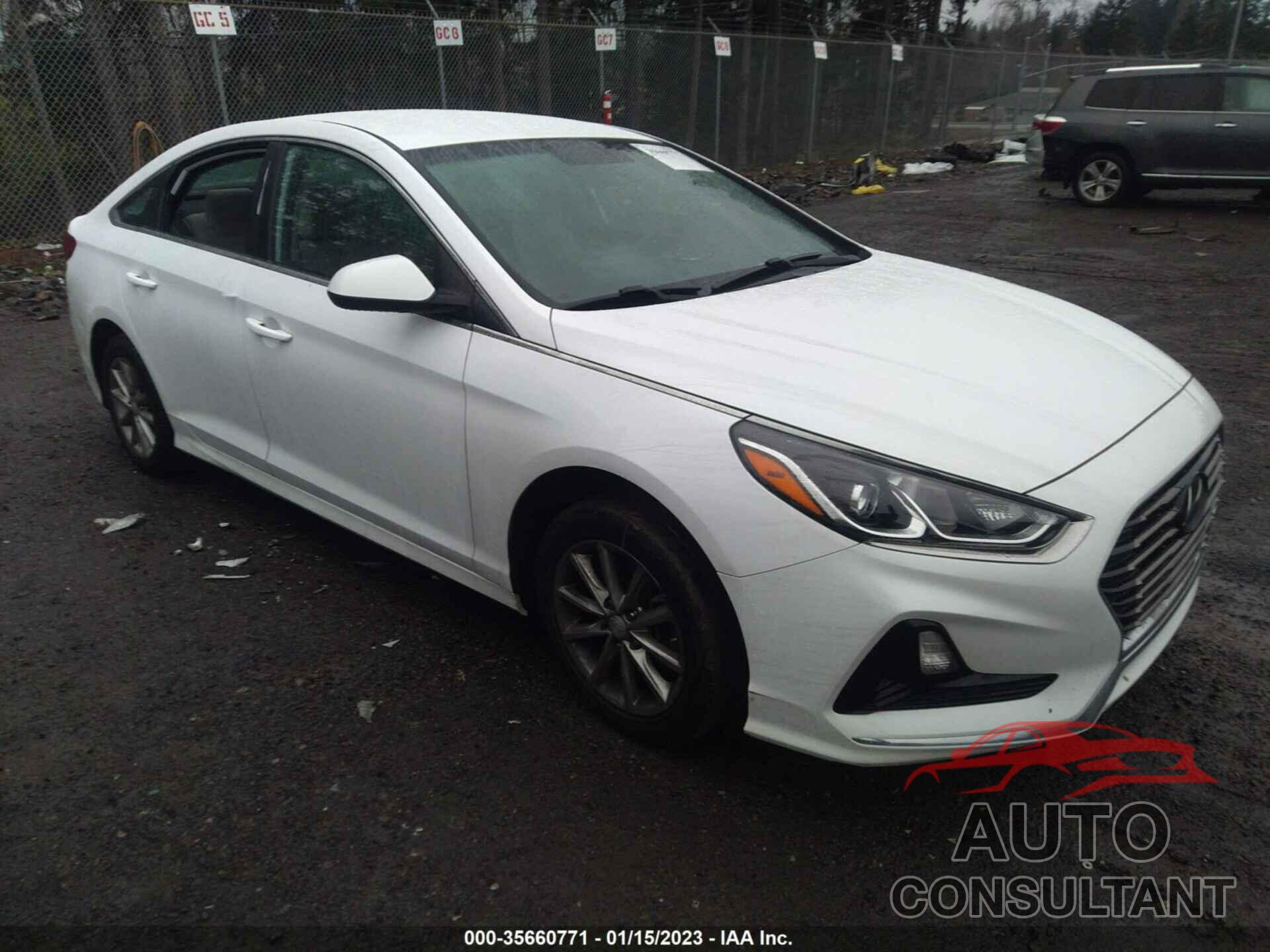 HYUNDAI SONATA 2019 - 5NPE24AF4KH786479