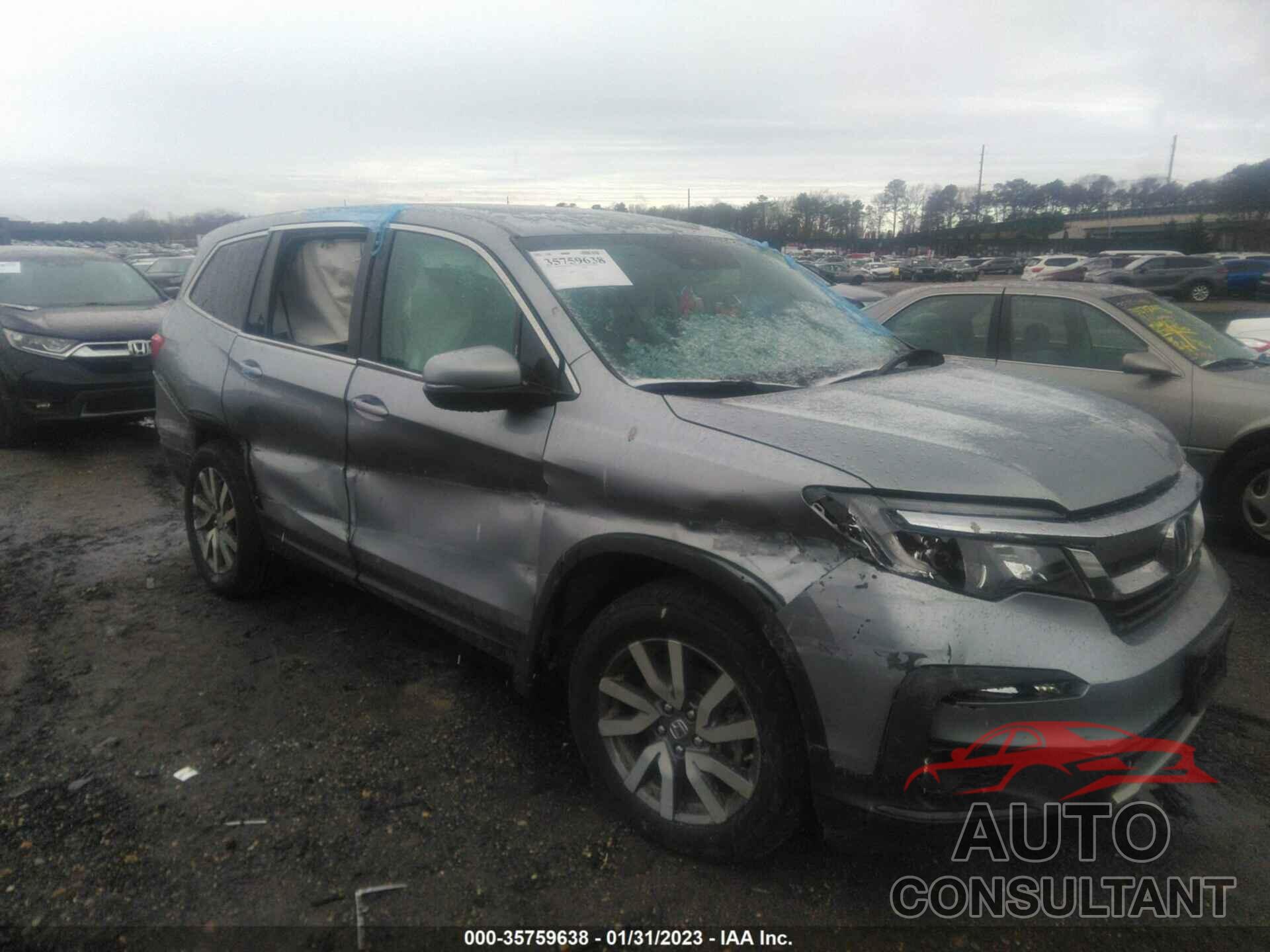 HONDA PILOT 2019 - 5FNYF6H37KB058145