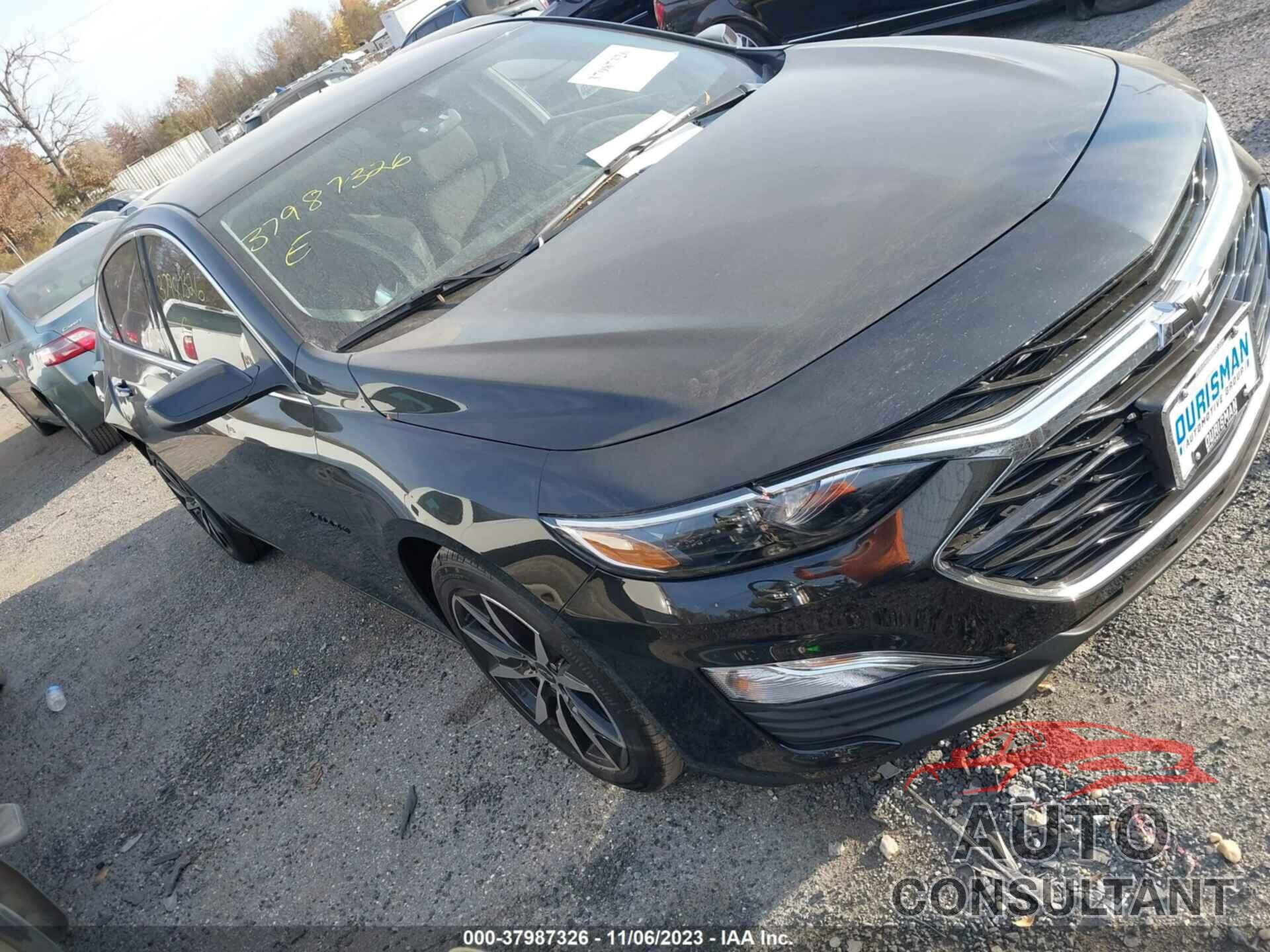 CHEVROLET MALIBU 2024 - 1G1ZG5ST4RF119096