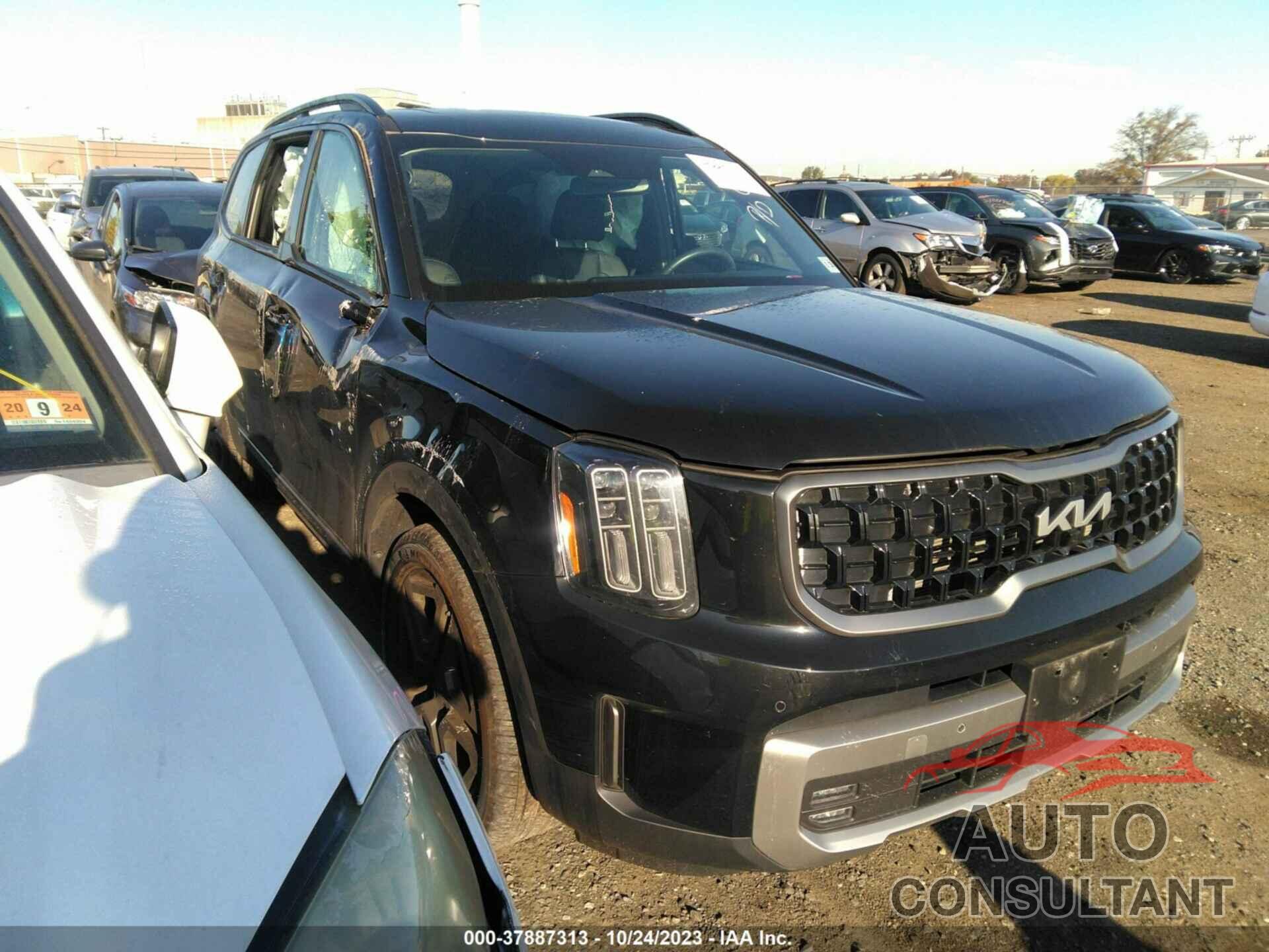 KIA TELLURIDE 2023 - 5XYP5DGC3PG350928