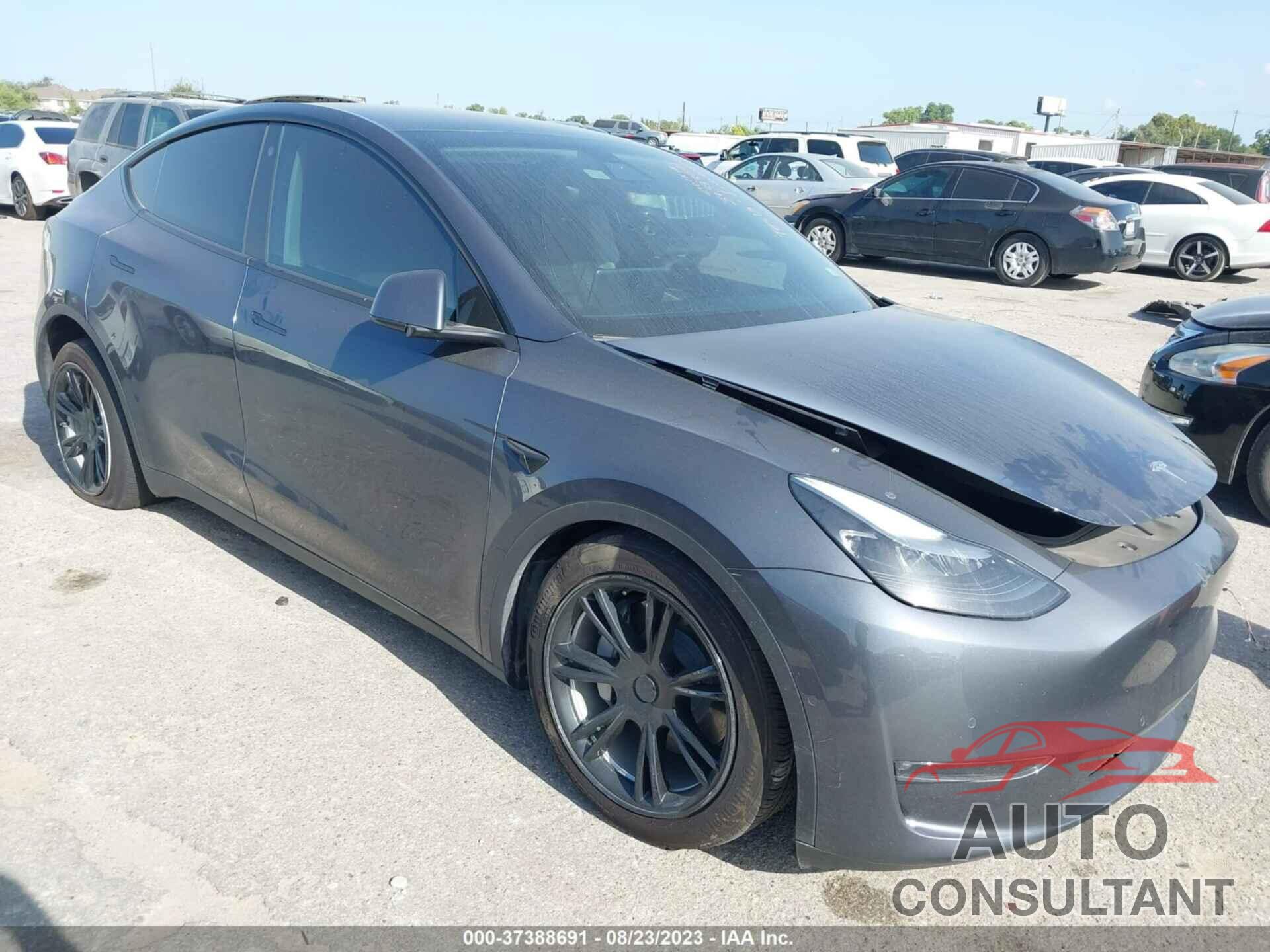 TESLA MODEL Y 2022 - 7SAYGAEE9NF544078