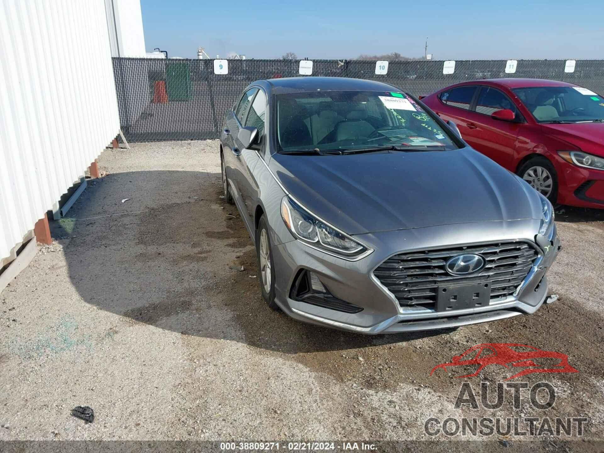 HYUNDAI SONATA 2019 - 5NPE24AF4KH797224