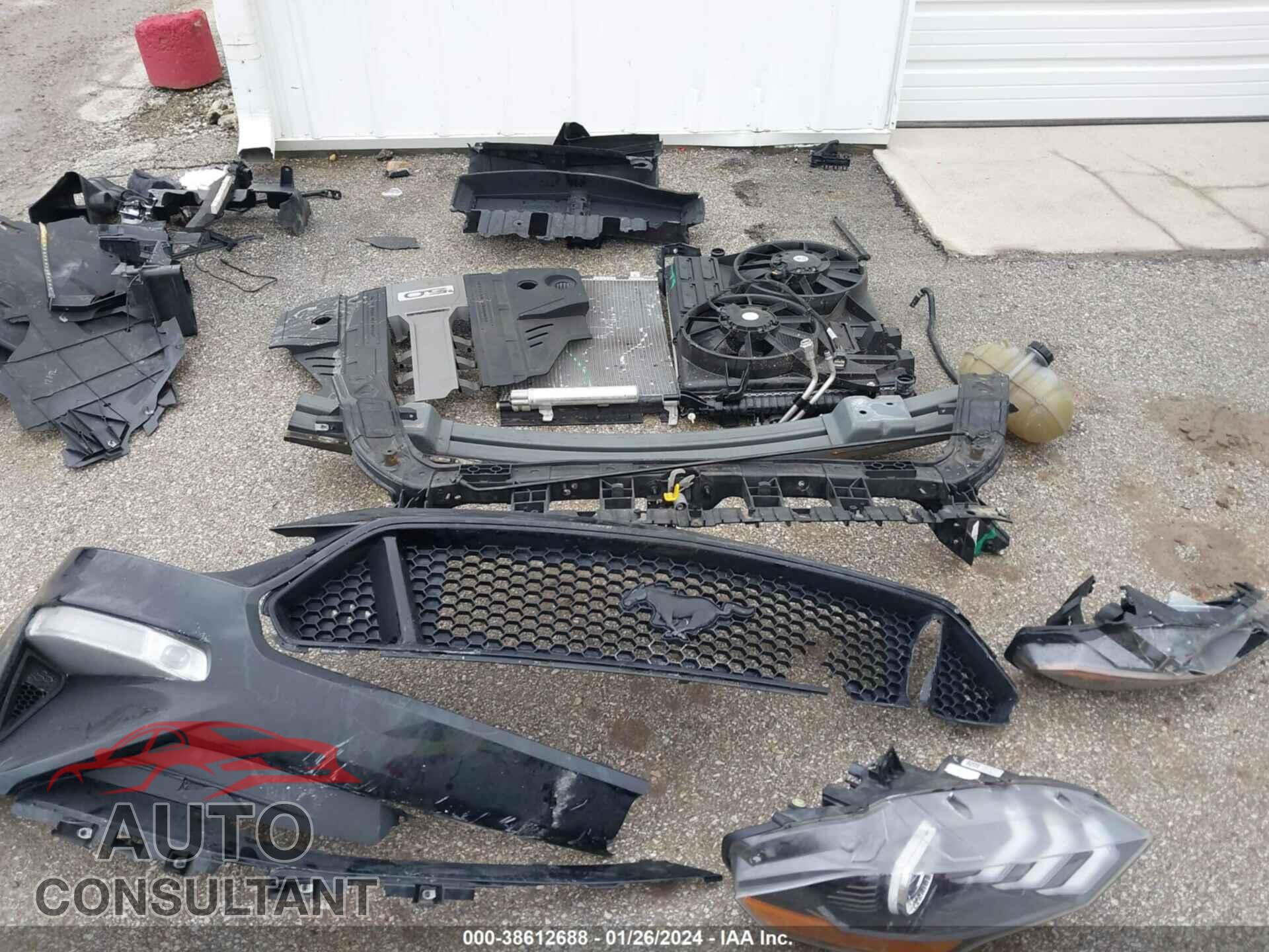 FORD MUSTANG 2020 - 1FA6P8CF7L5159373