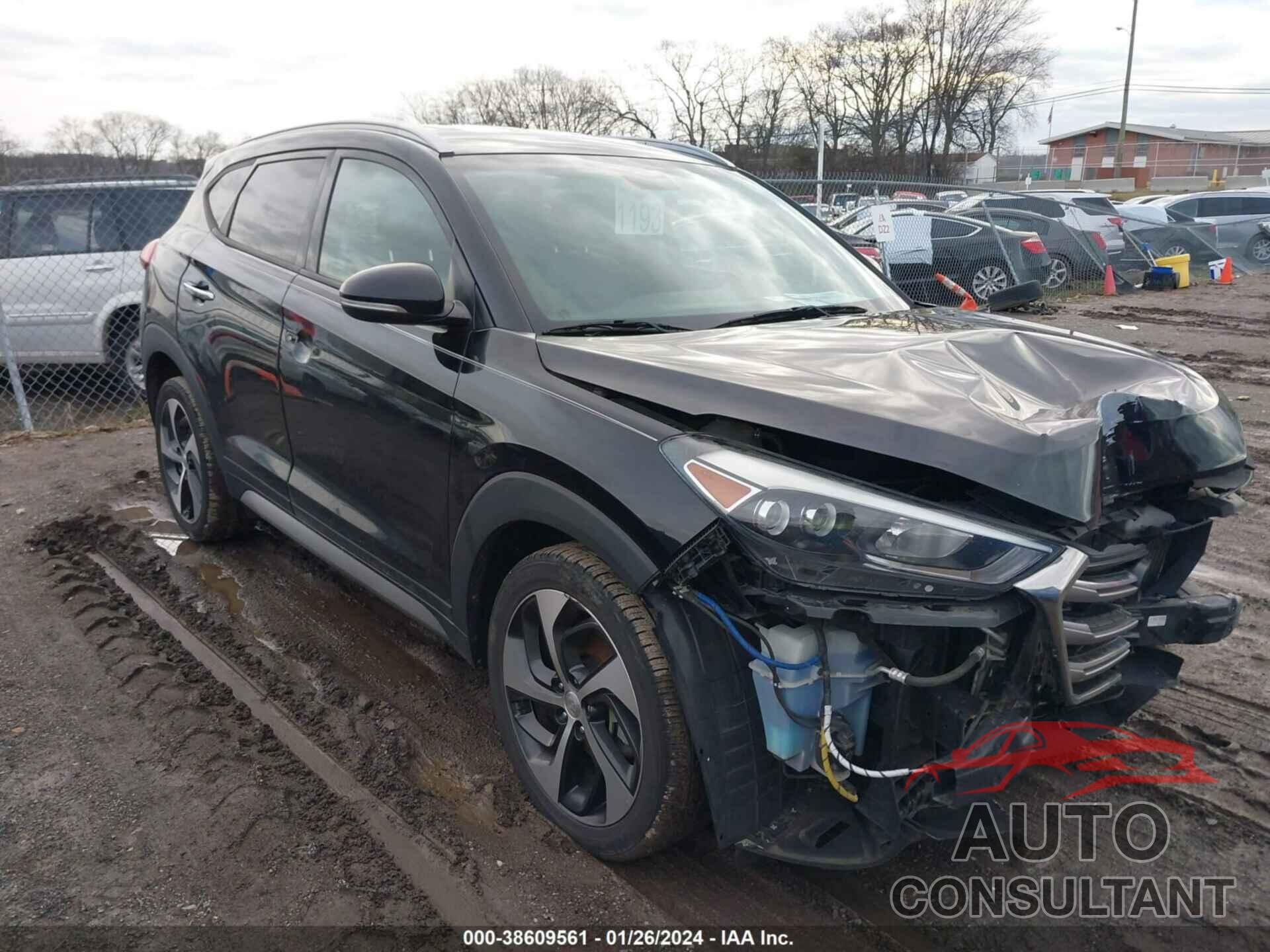 HYUNDAI TUCSON 2017 - KM8J33A26HU293660