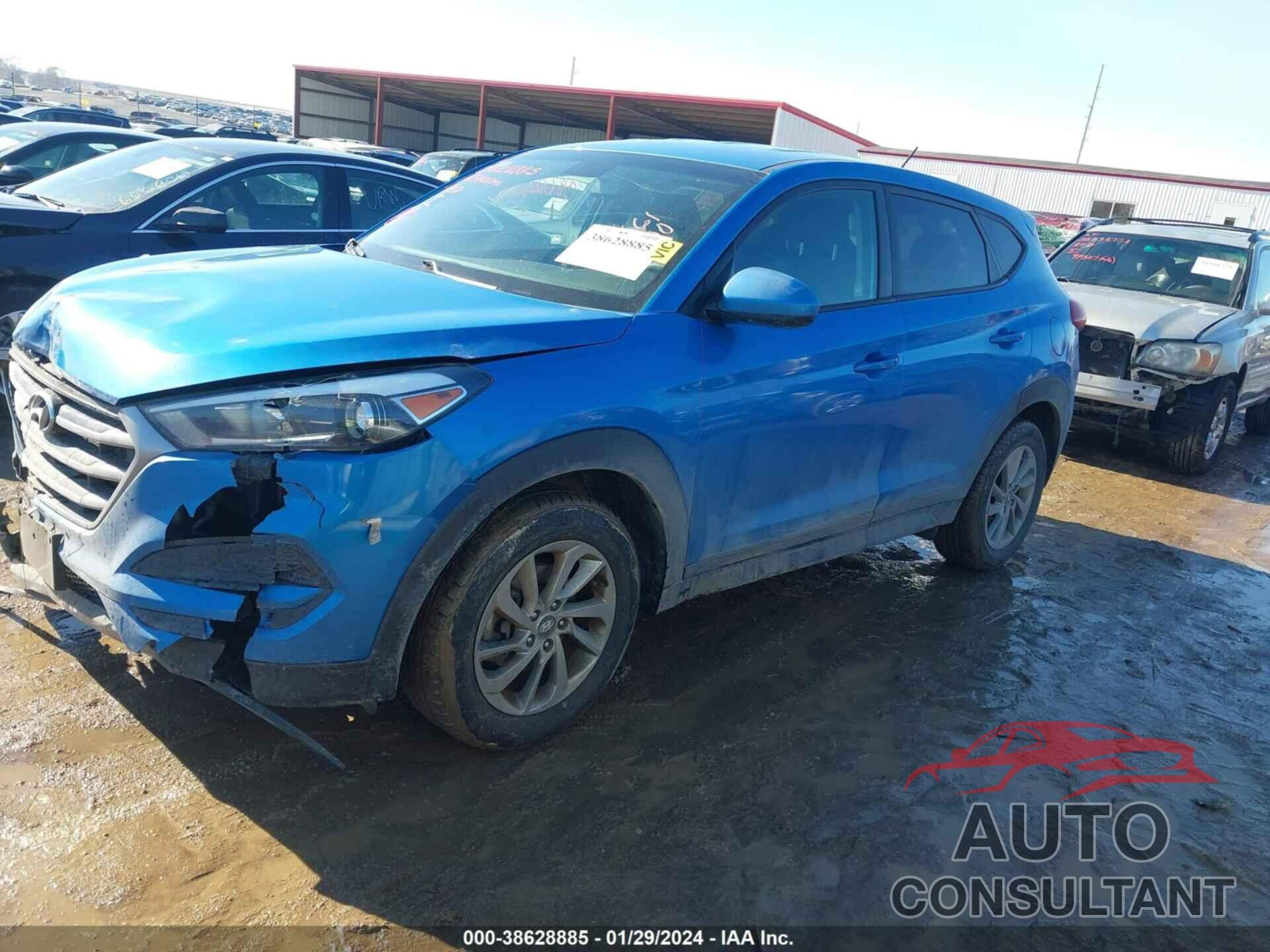 HYUNDAI TUCSON 2017 - KM8J23A42HU566288