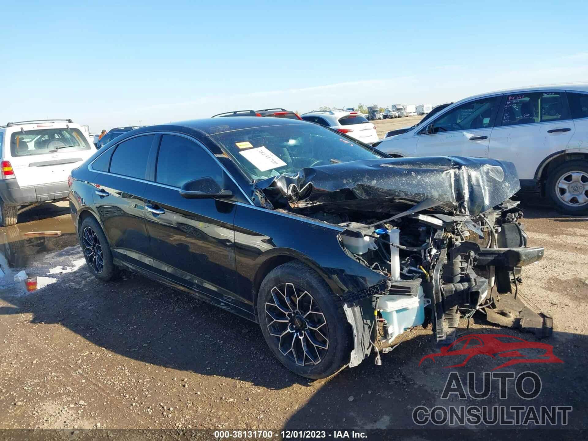 HYUNDAI SONATA 2019 - 5NPE34AF4KH795504