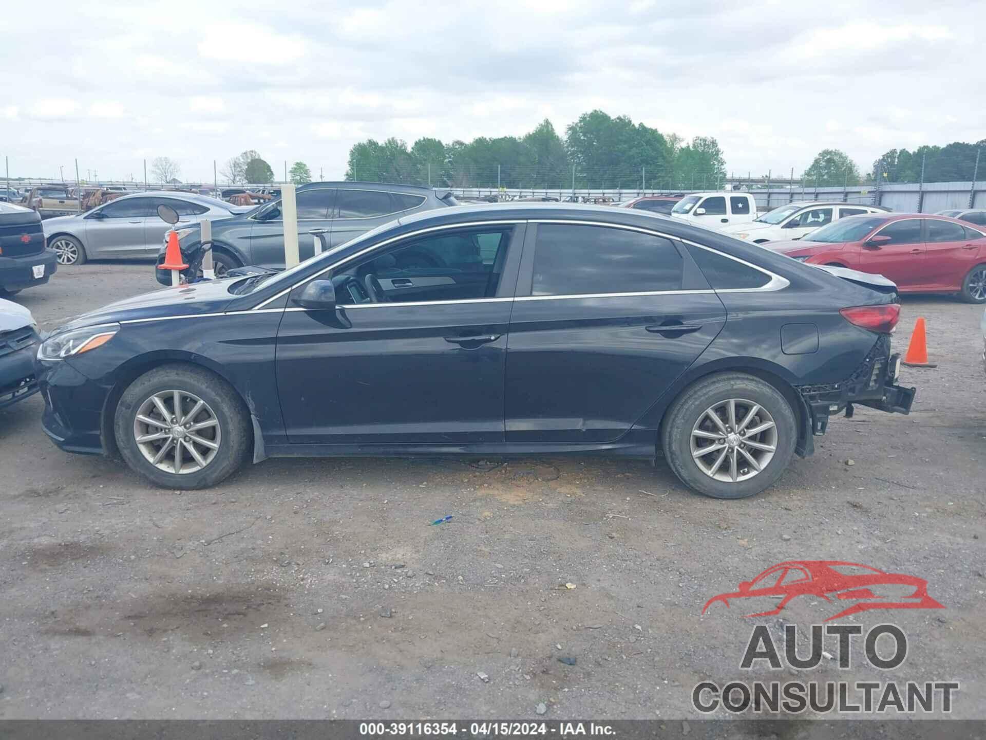 HYUNDAI SONATA 2019 - 5NPE24AF7KH740063