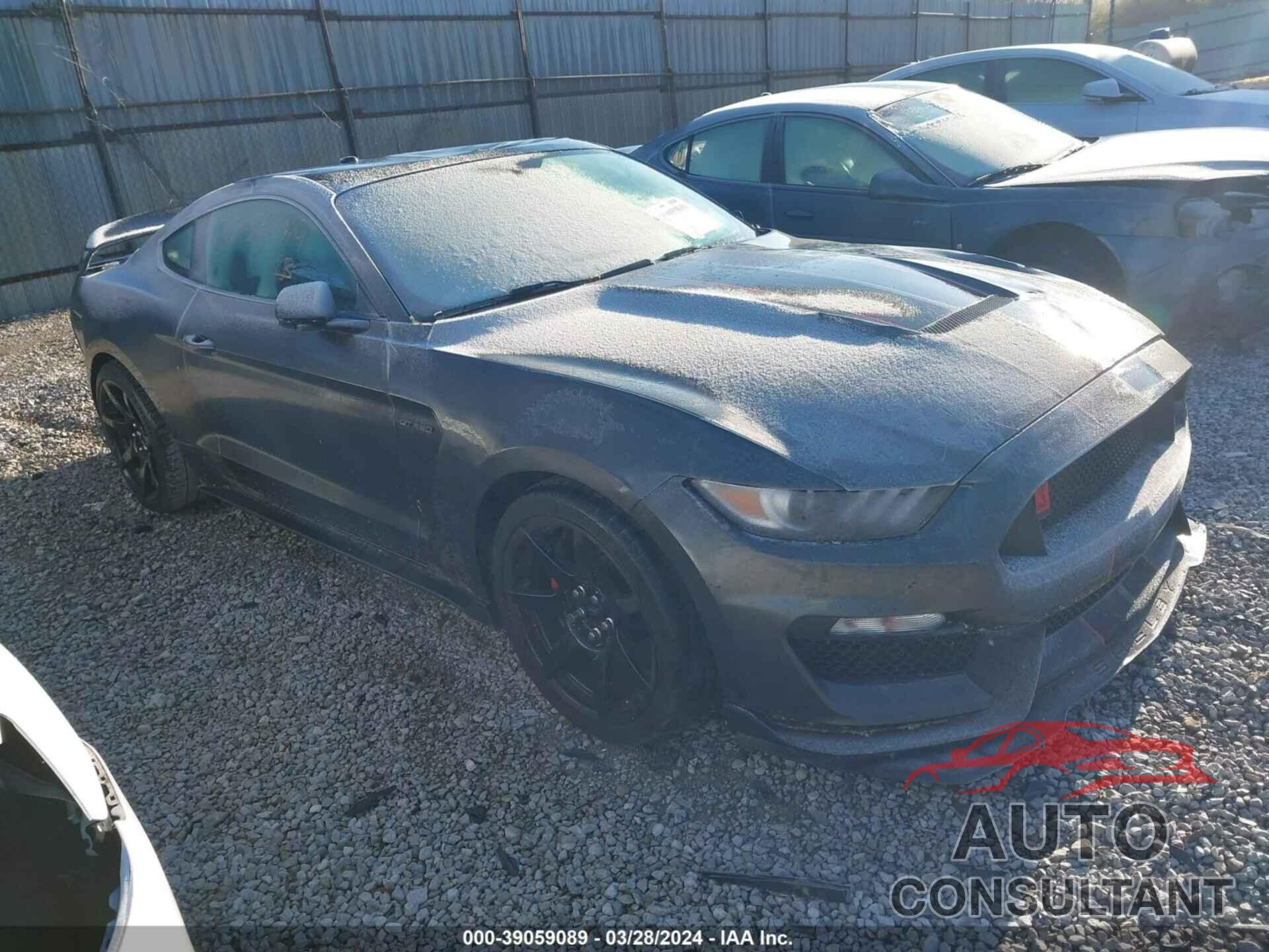 FORD MUSTANG 2019 - 1FA6P8JZ2K5551897