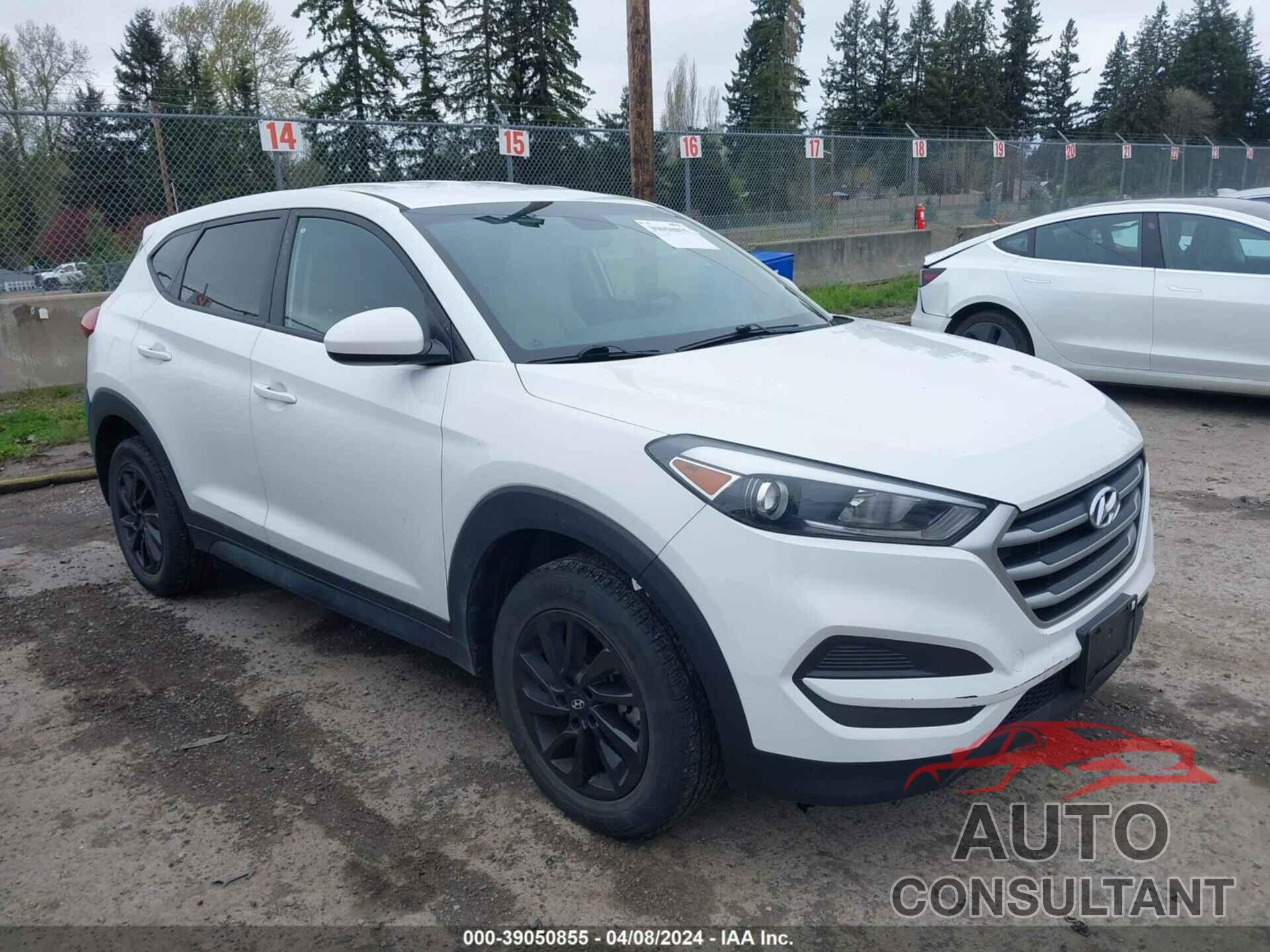 HYUNDAI TUCSON 2017 - KM8J23A42HU494671