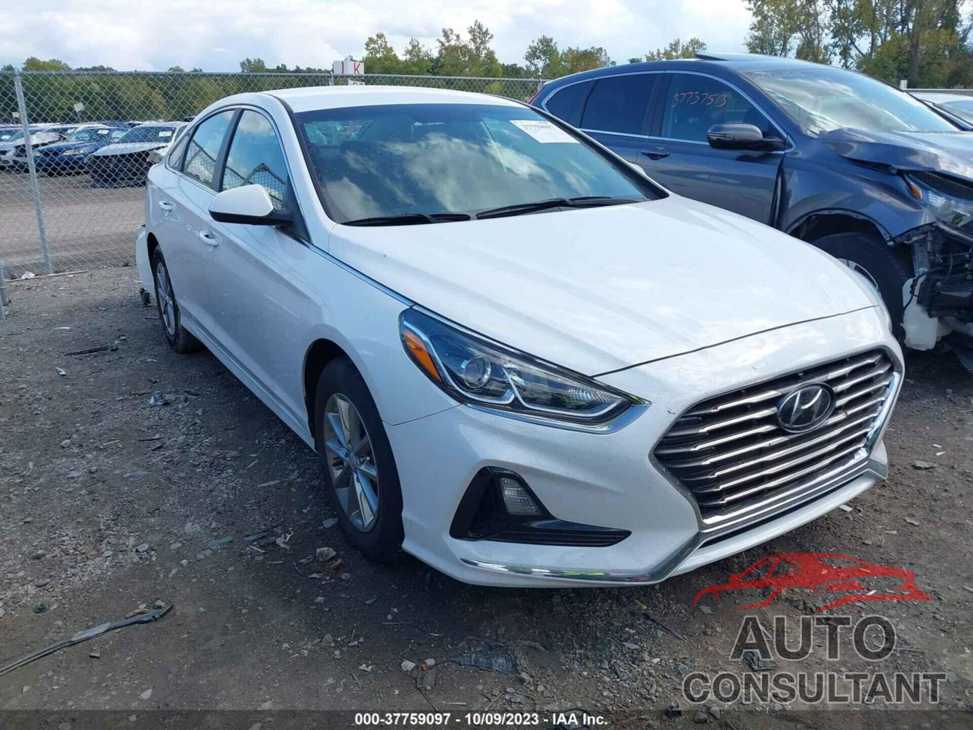 HYUNDAI SONATA 2019 - 5NPE24AF7KH772186