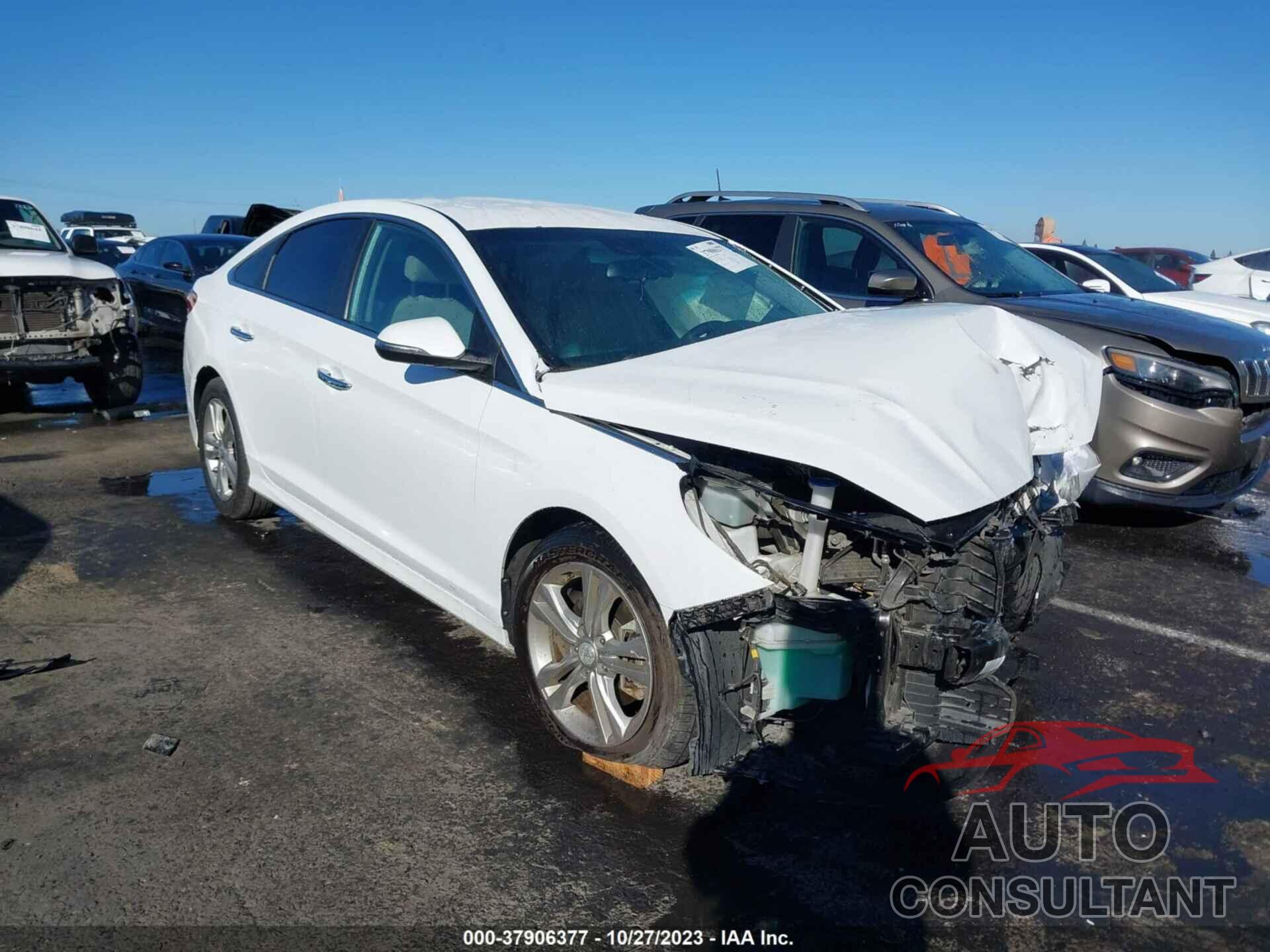 HYUNDAI SONATA 2019 - 5NPE34AF6KH751665