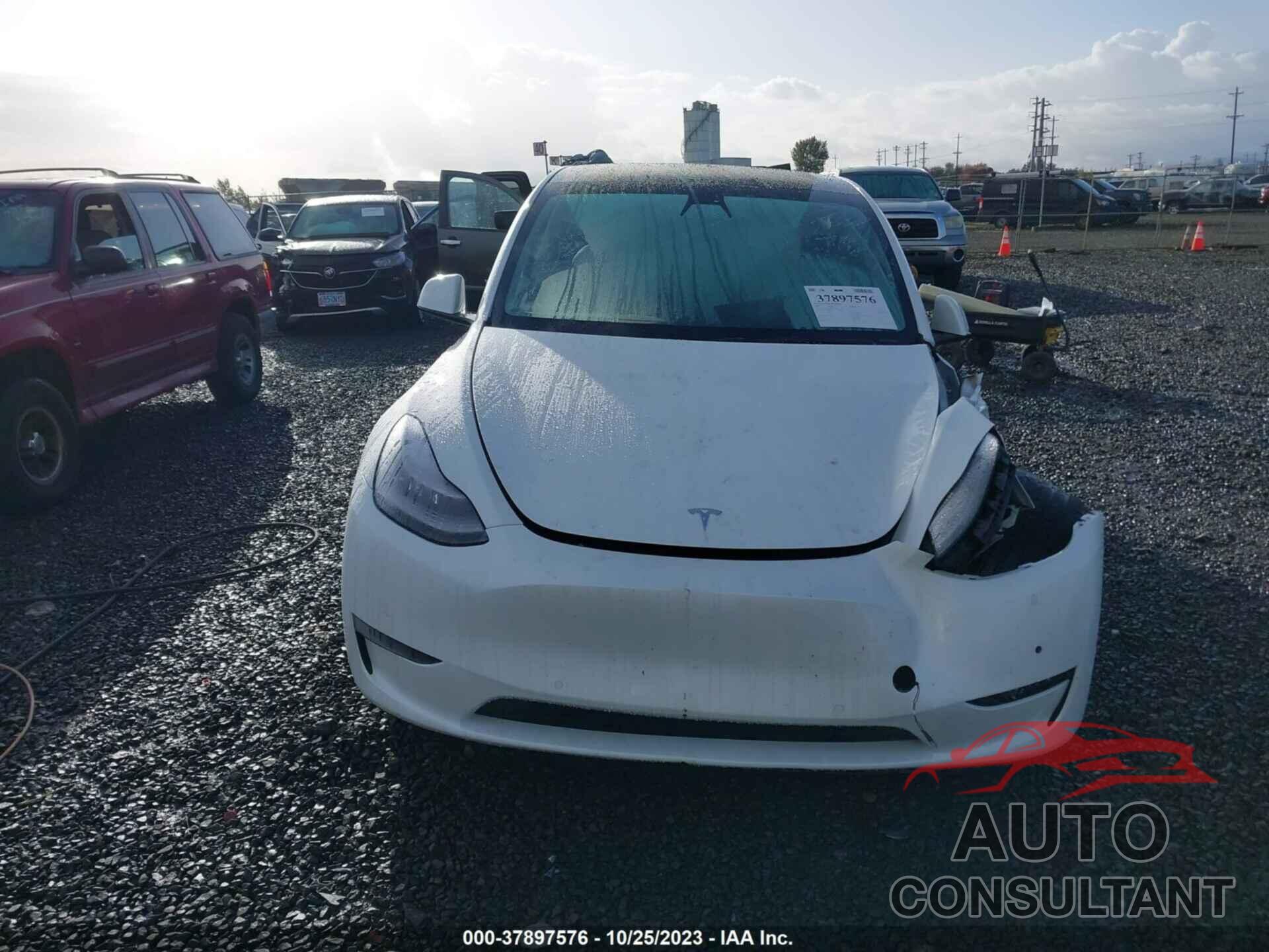 TESLA MODEL Y 2021 - 5YJYGAEE9MF157445