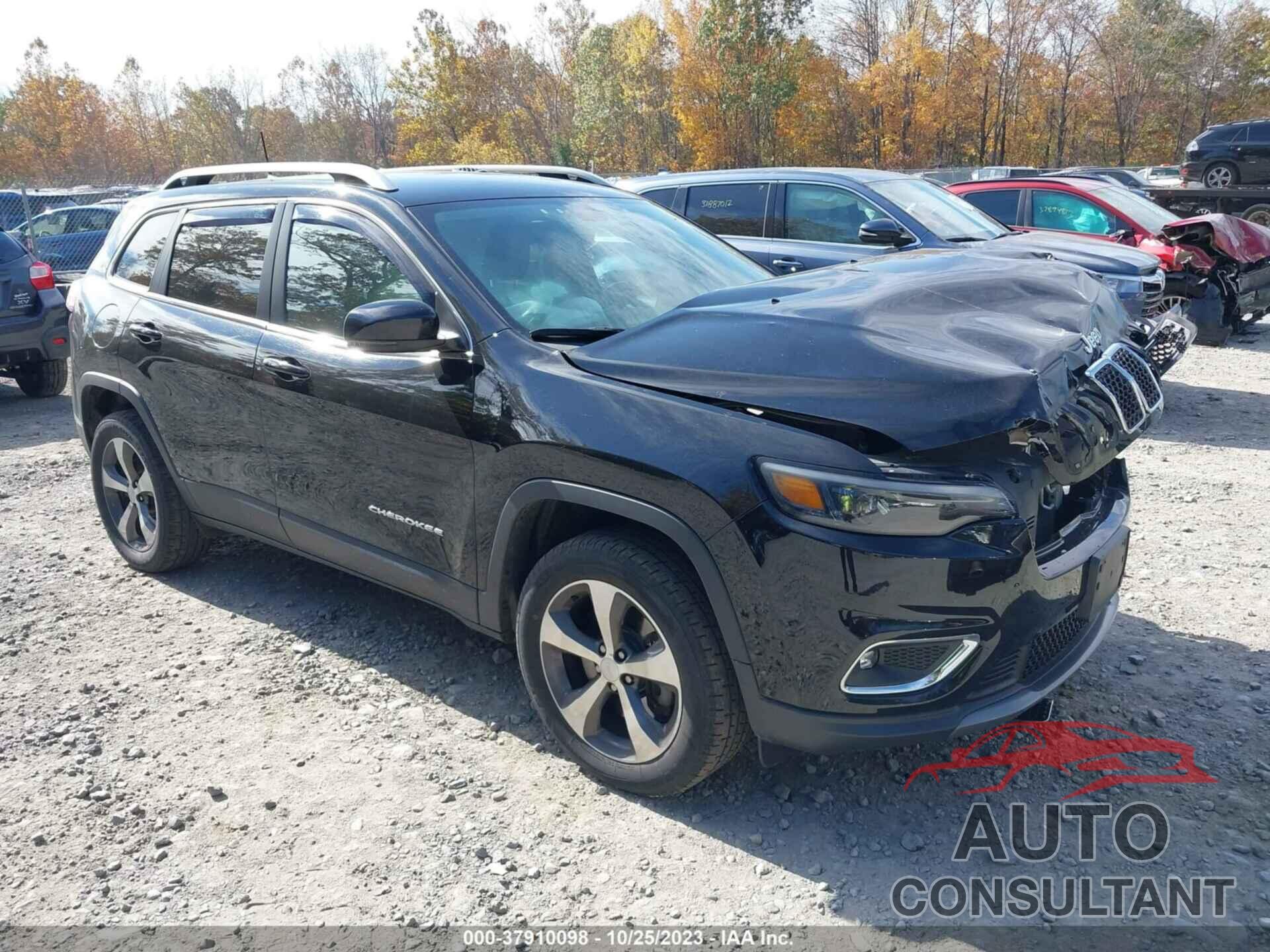 JEEP CHEROKEE 2019 - 1C4PJMDX5KD137862