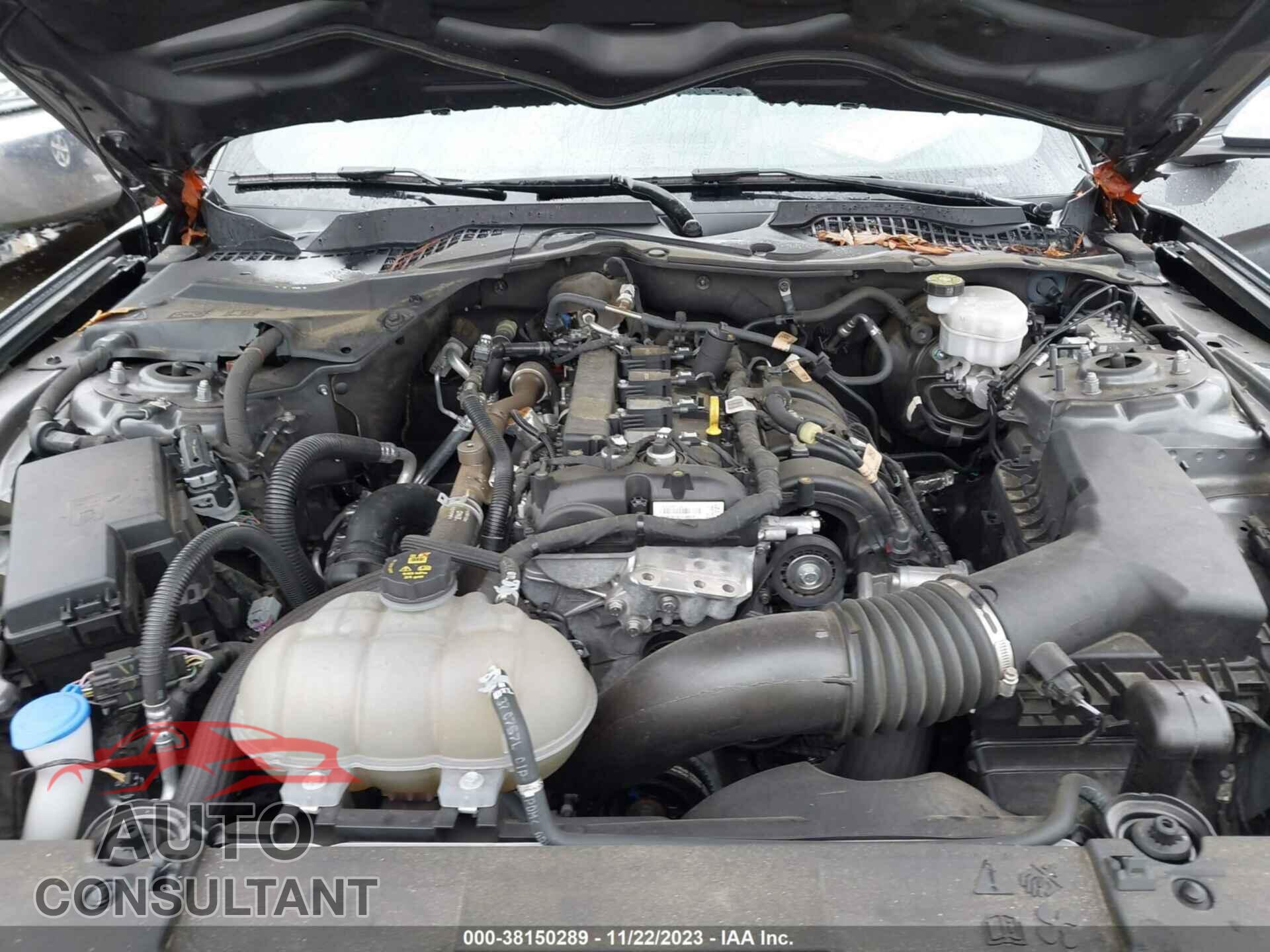 FORD MUSTANG 2021 - 1FA6P8TH1M5118823